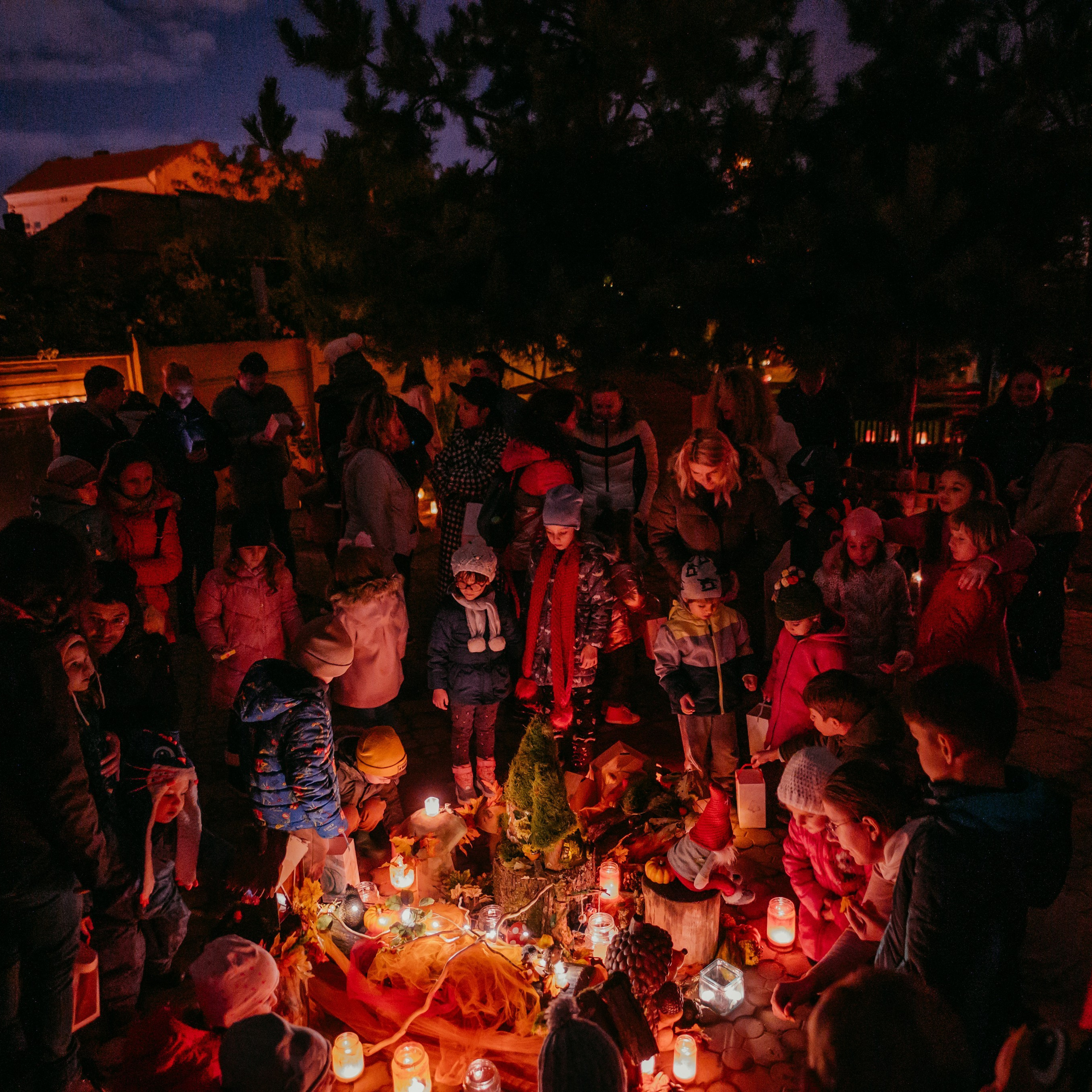 Recenzii. Servicii Foto Video Nunta - Fotograf Oradea
