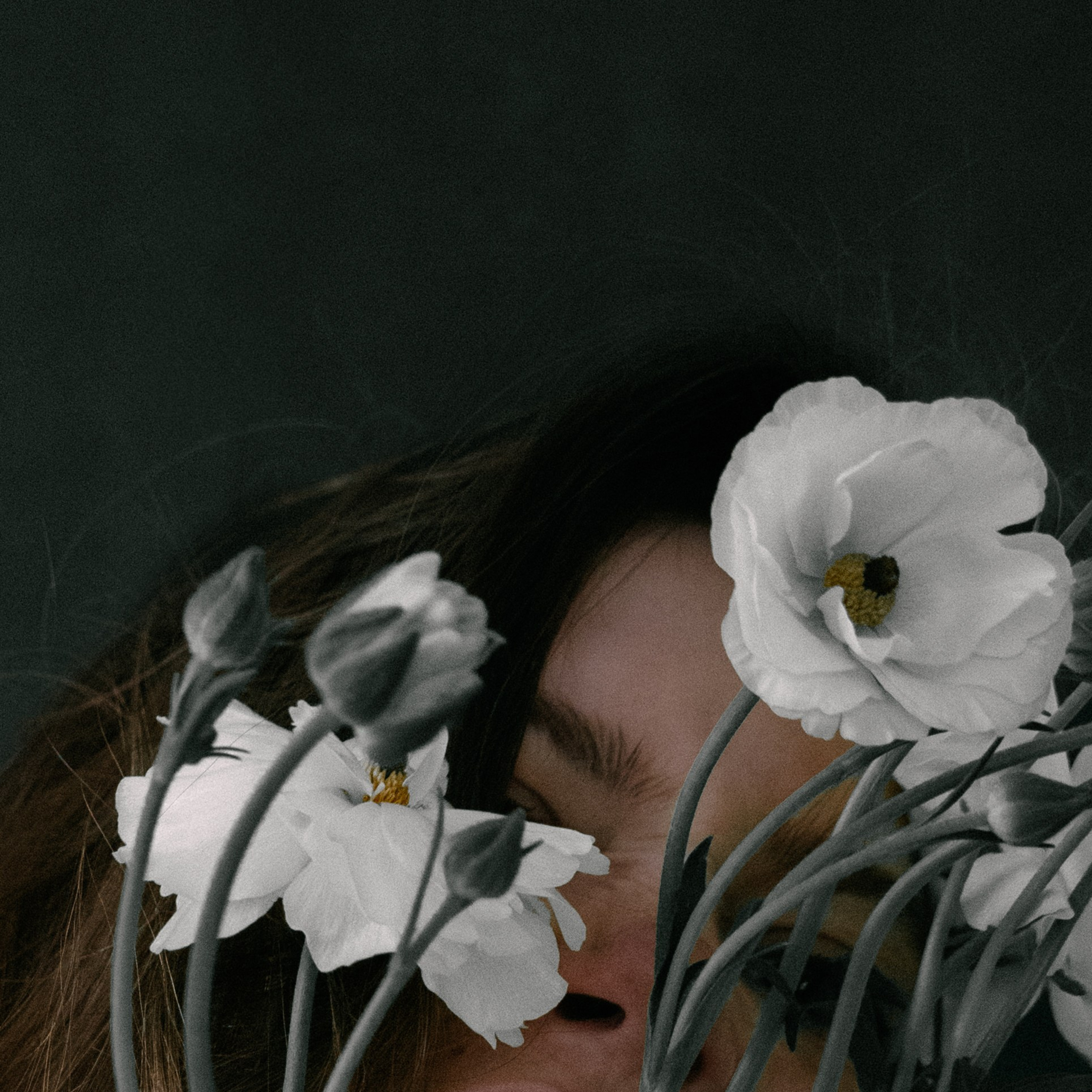 Testimonials. Creative content creator and outdoor photographer