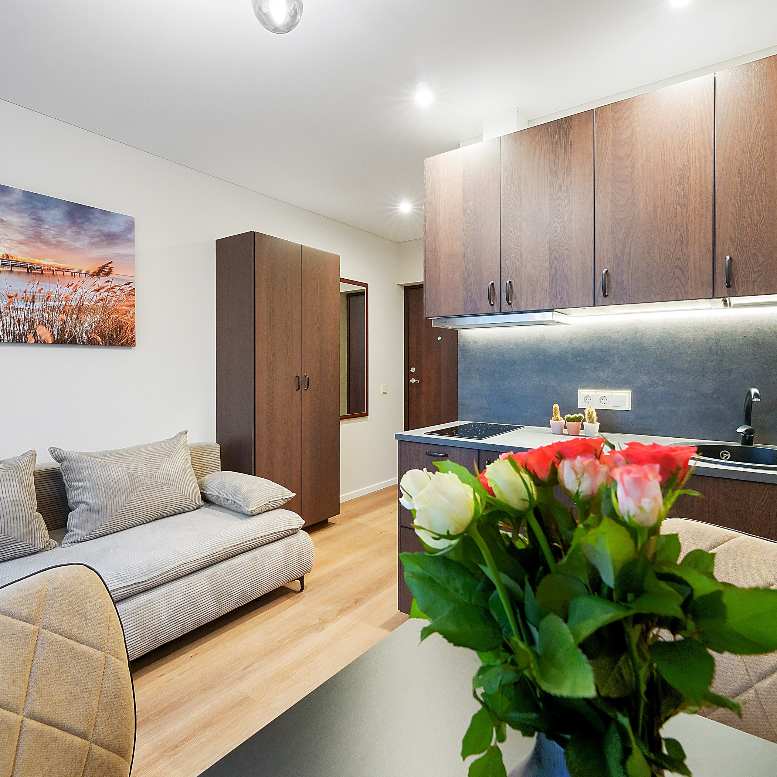 Nekilnojamojo turto fotografo projektai. Elina Sapiega fotografė Vilniuje