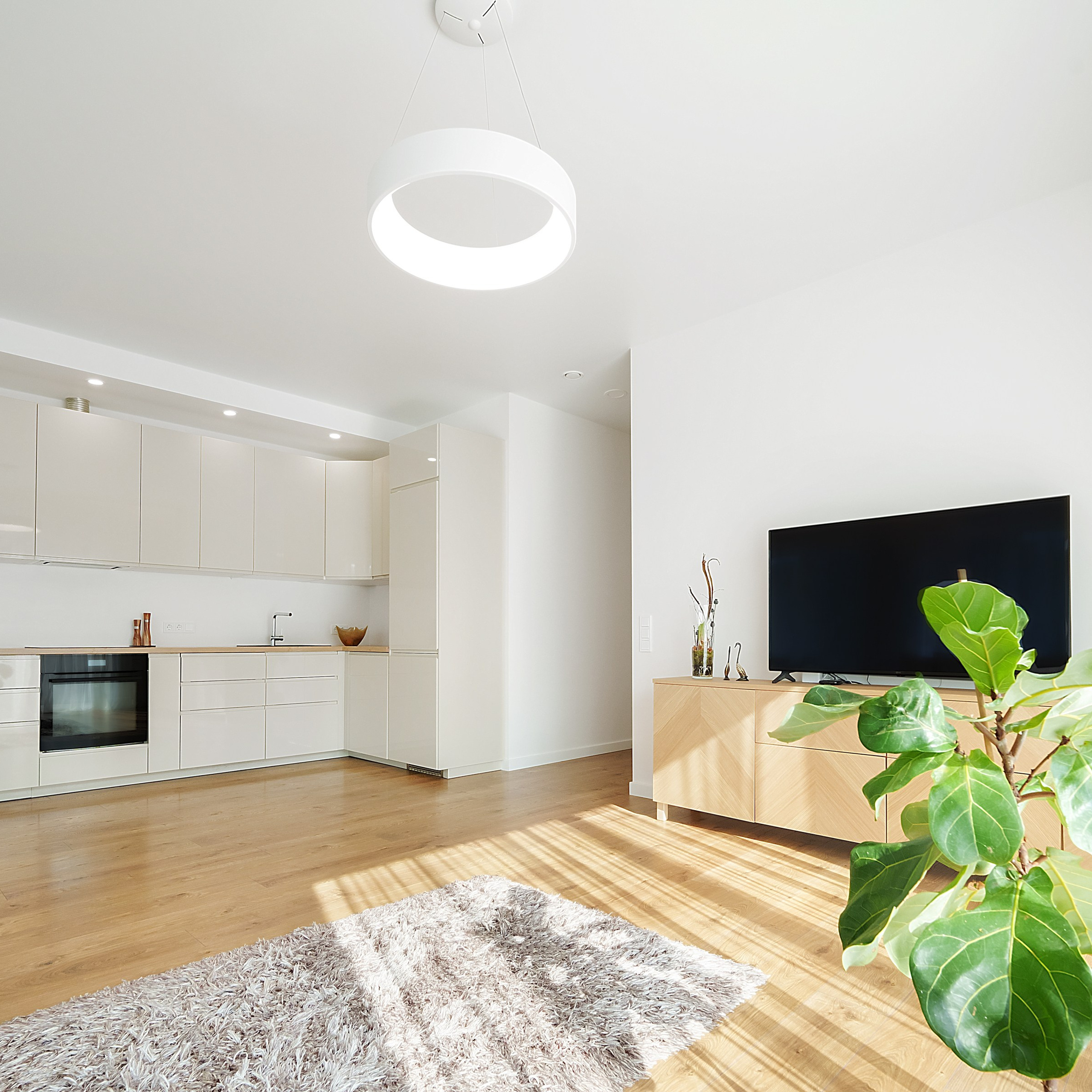 Nekilnojamojo turto fotografo projektai. Elina Sapiega fotografė Vilniuje