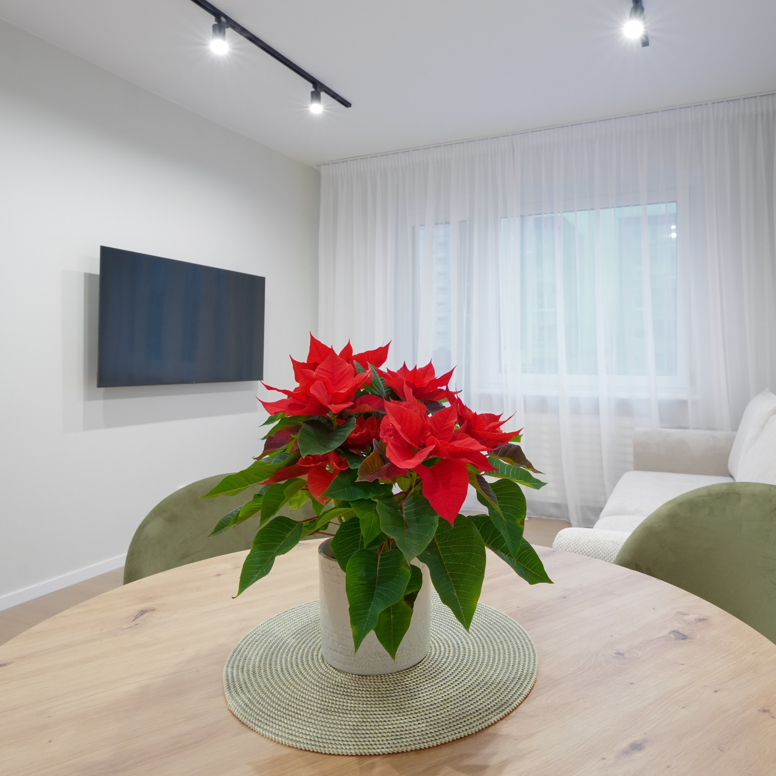 Nekilnojamojo turto fotografo projektai. Elina Sapiega fotografė Vilniuje