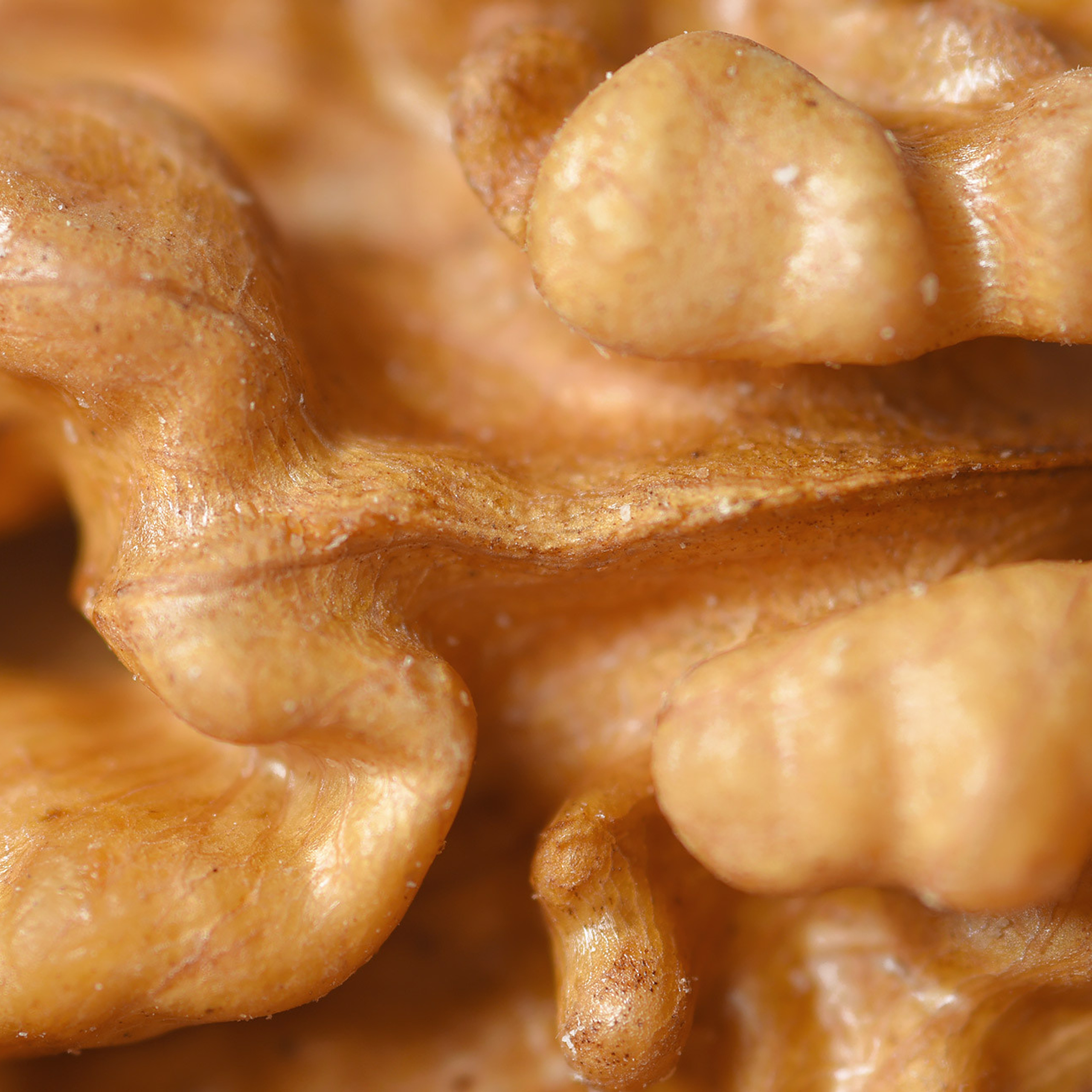 Предметная фотосъемка. Грецкий орех