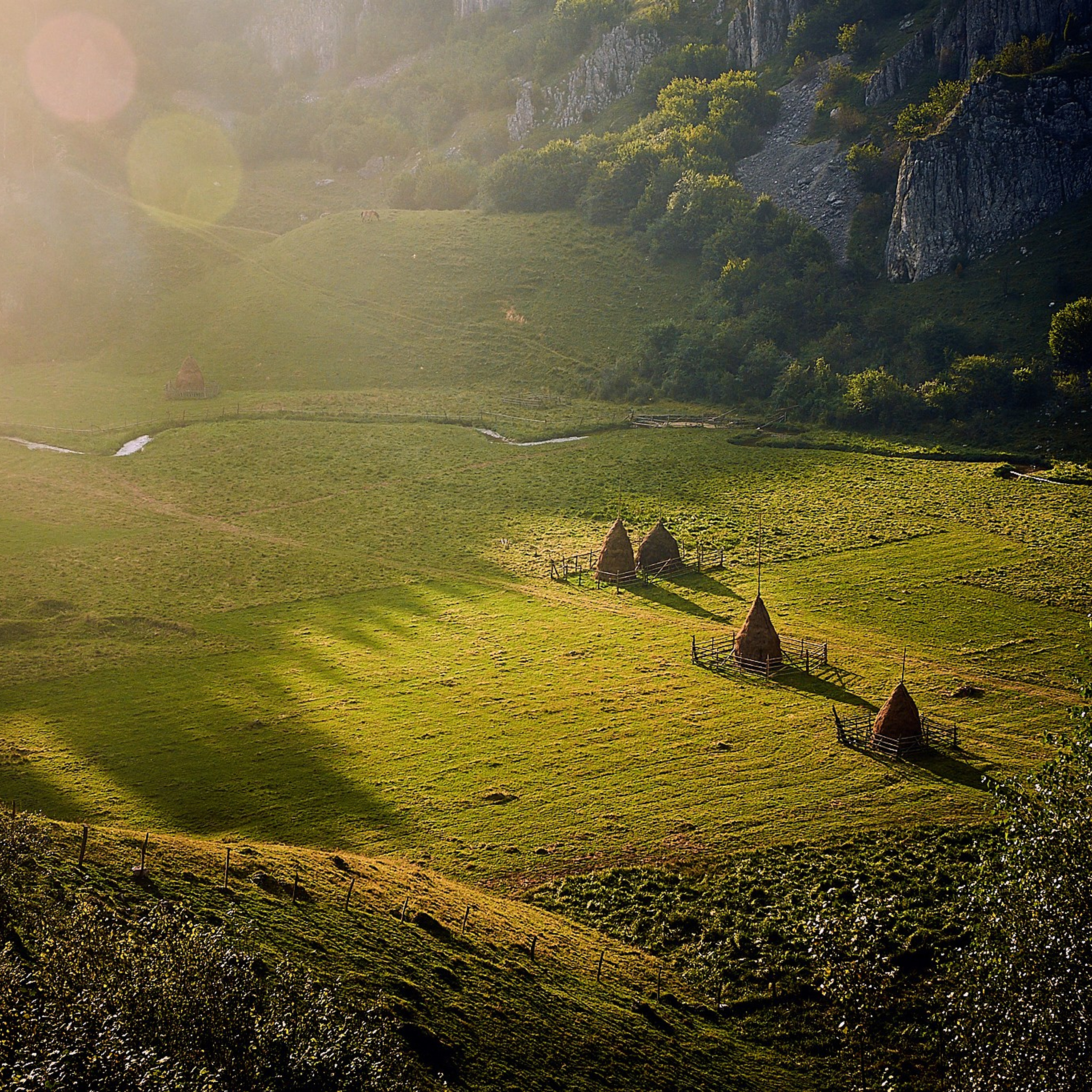 Fundătura Ponorului, jud. Humedoara