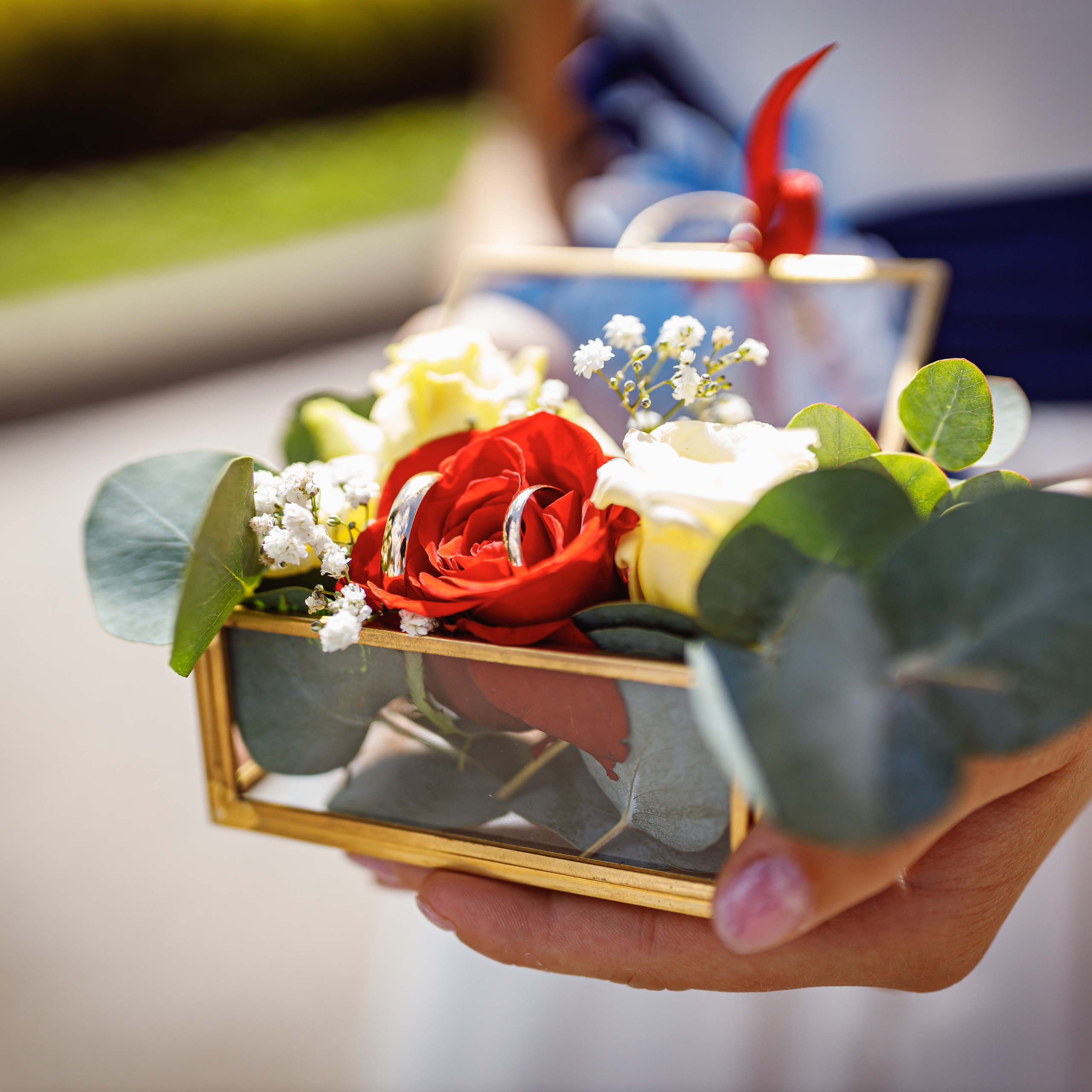 Atsauksmes. Photographer Eduard Nesterov