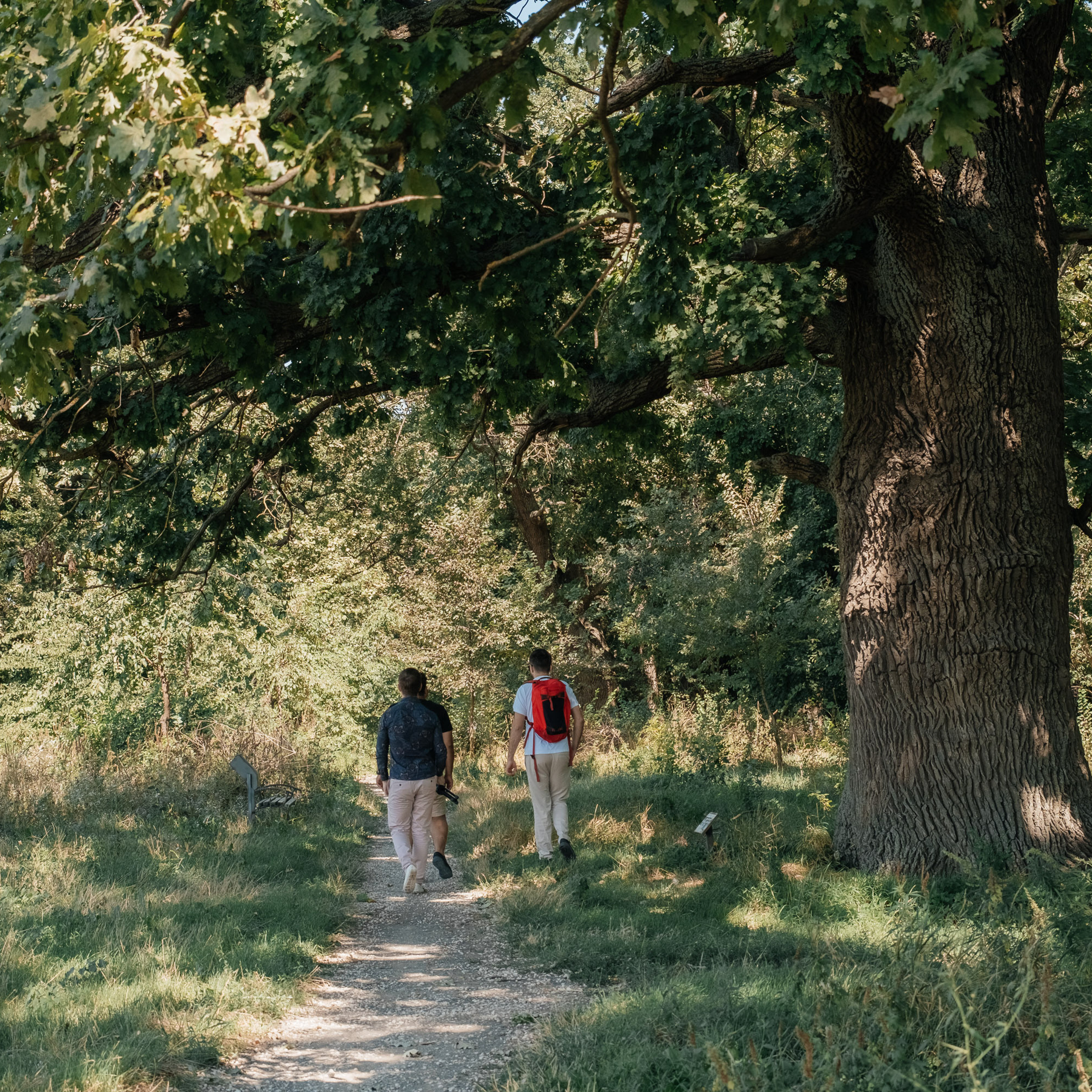 Recenzii. Фотограф в Кишинёве