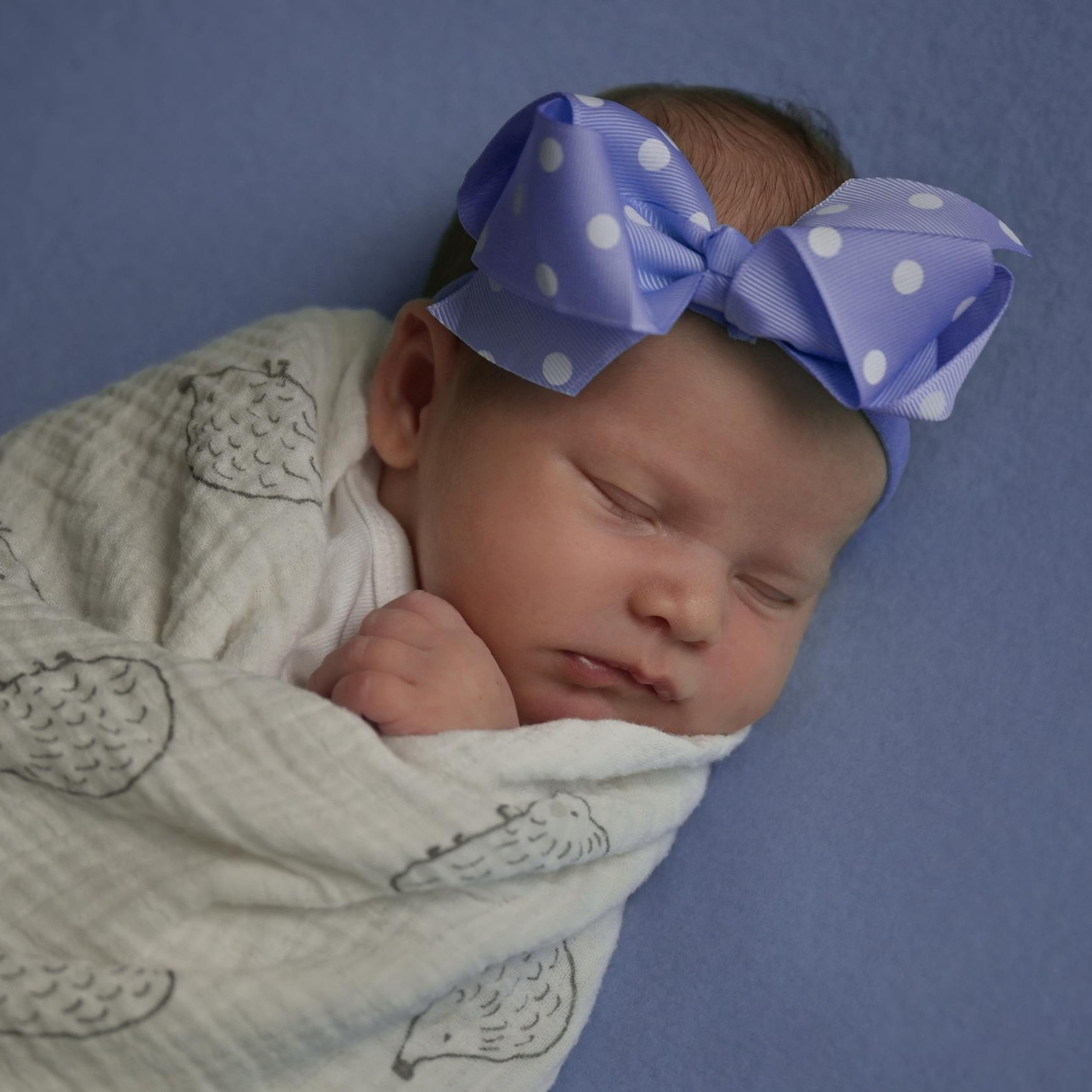 Your Feedback. Family and Sports photographer in Cary Raleigh NC North Carolina