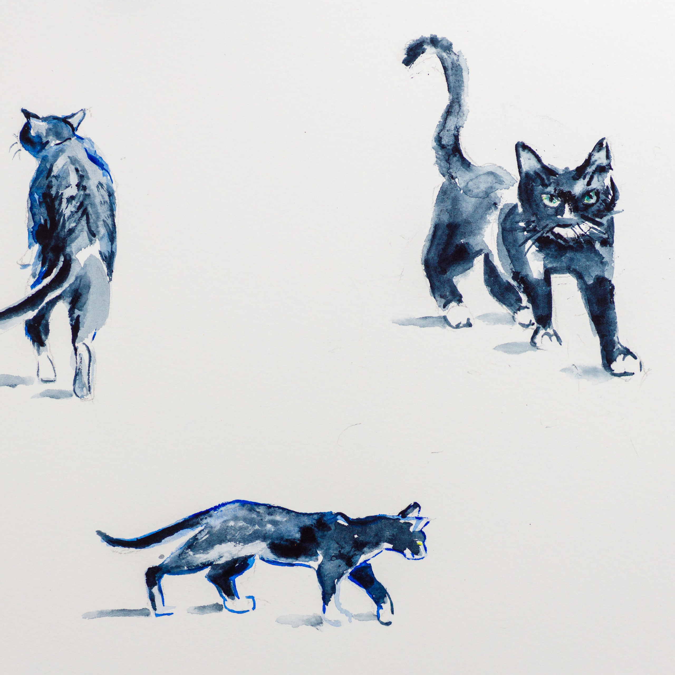 Testimonials. Wedding & family photographer in Dorset, England. Nataliia Honcharenko