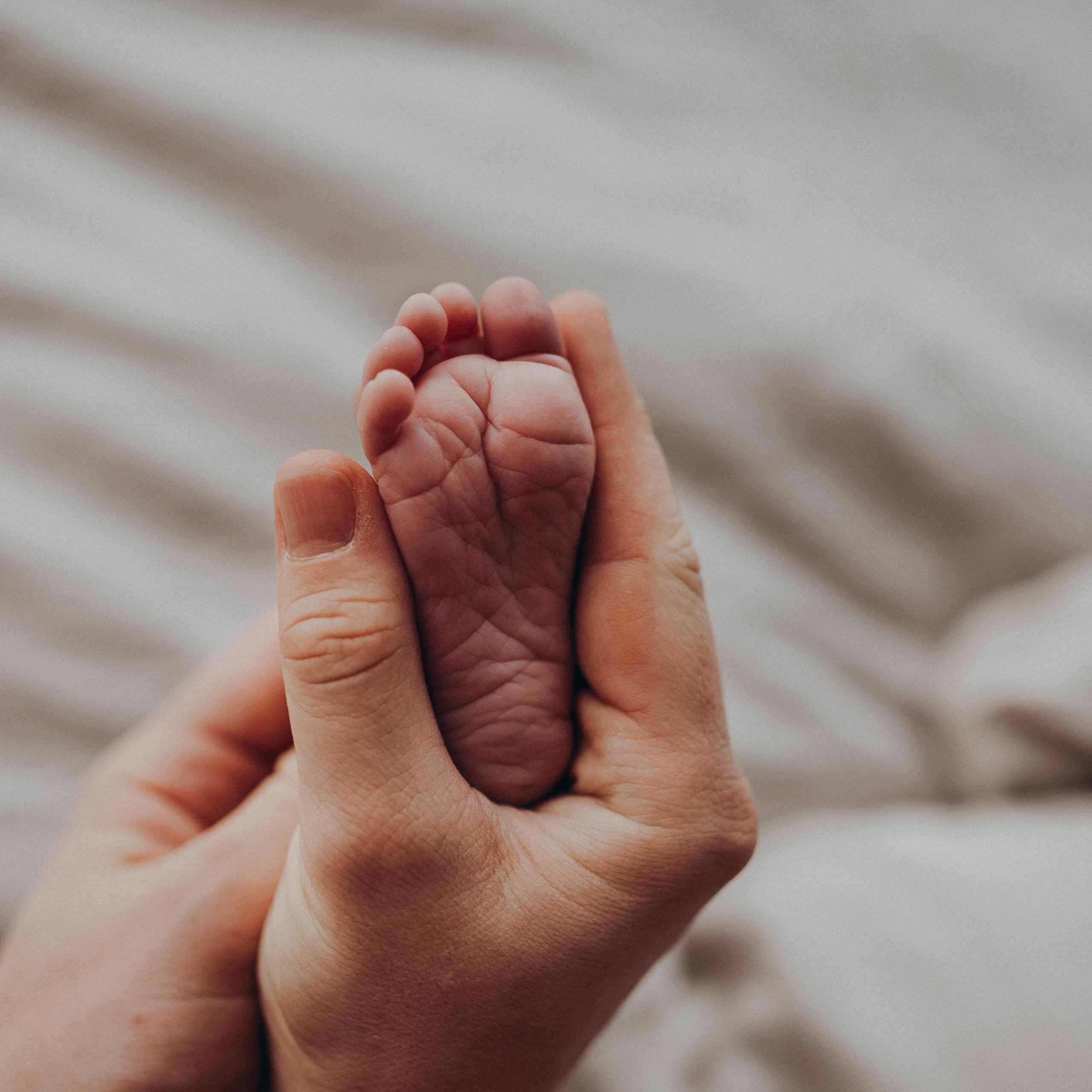 Feedbacks. Aigul Photography — wedding, newborn, and family photographer