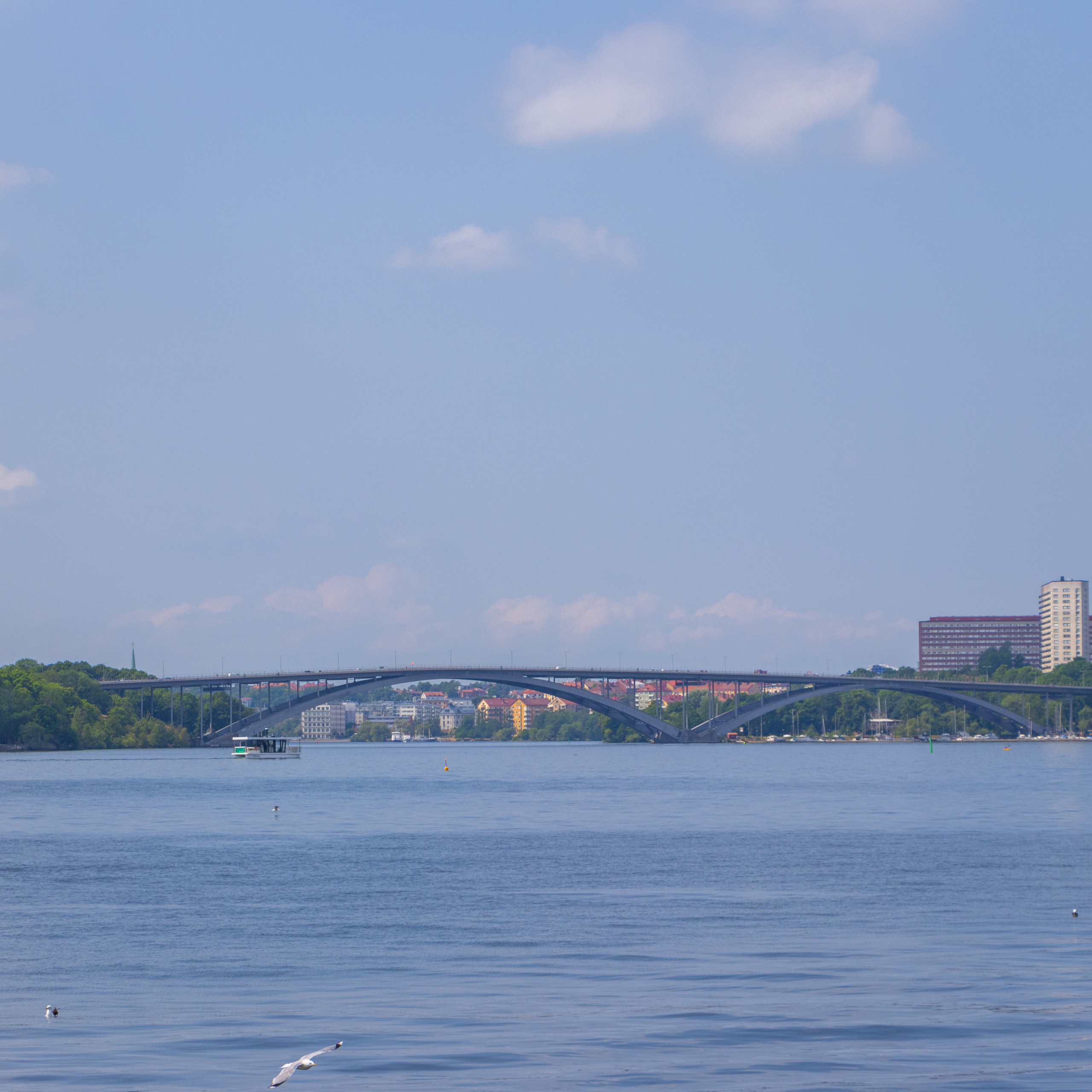 Testimonials. Portrait and Street photographer in Vilnius Edgar Shaipunas
