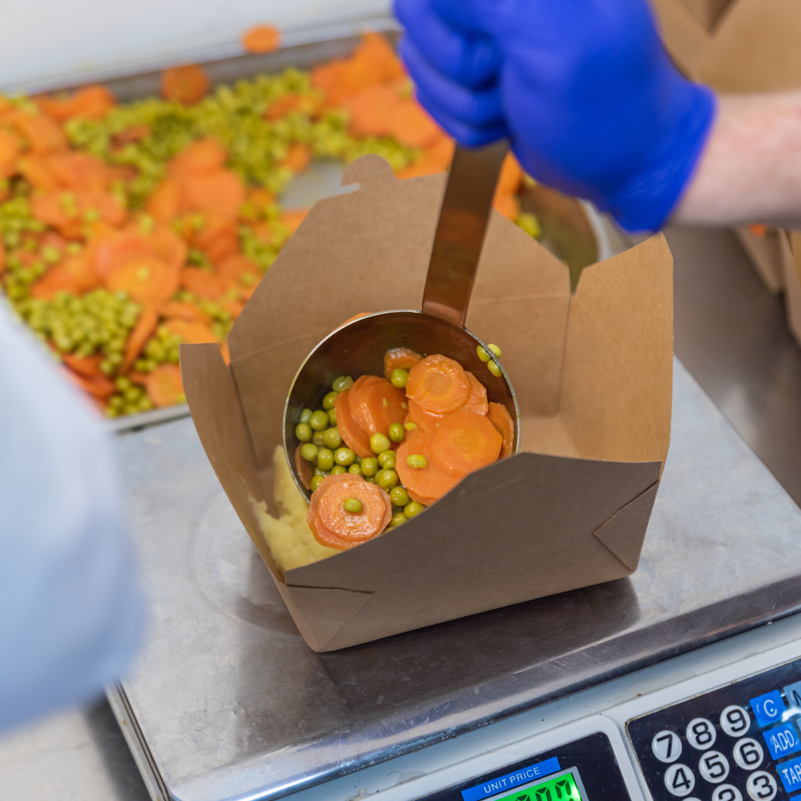 Накормим Батуми. Ekaterina Verbitskaya. Photography