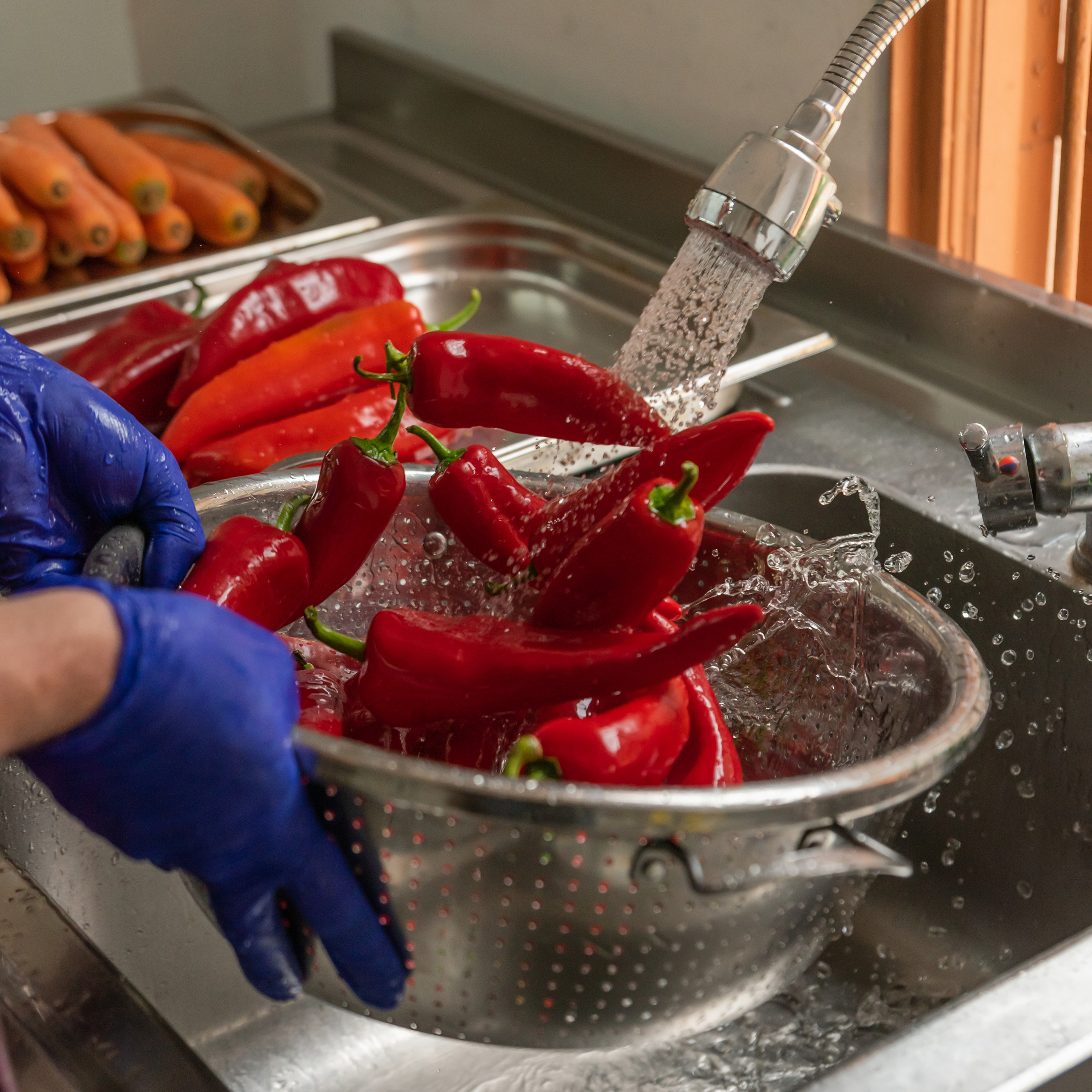 Накормим Батуми. Ekaterina Verbitskaya. Photography