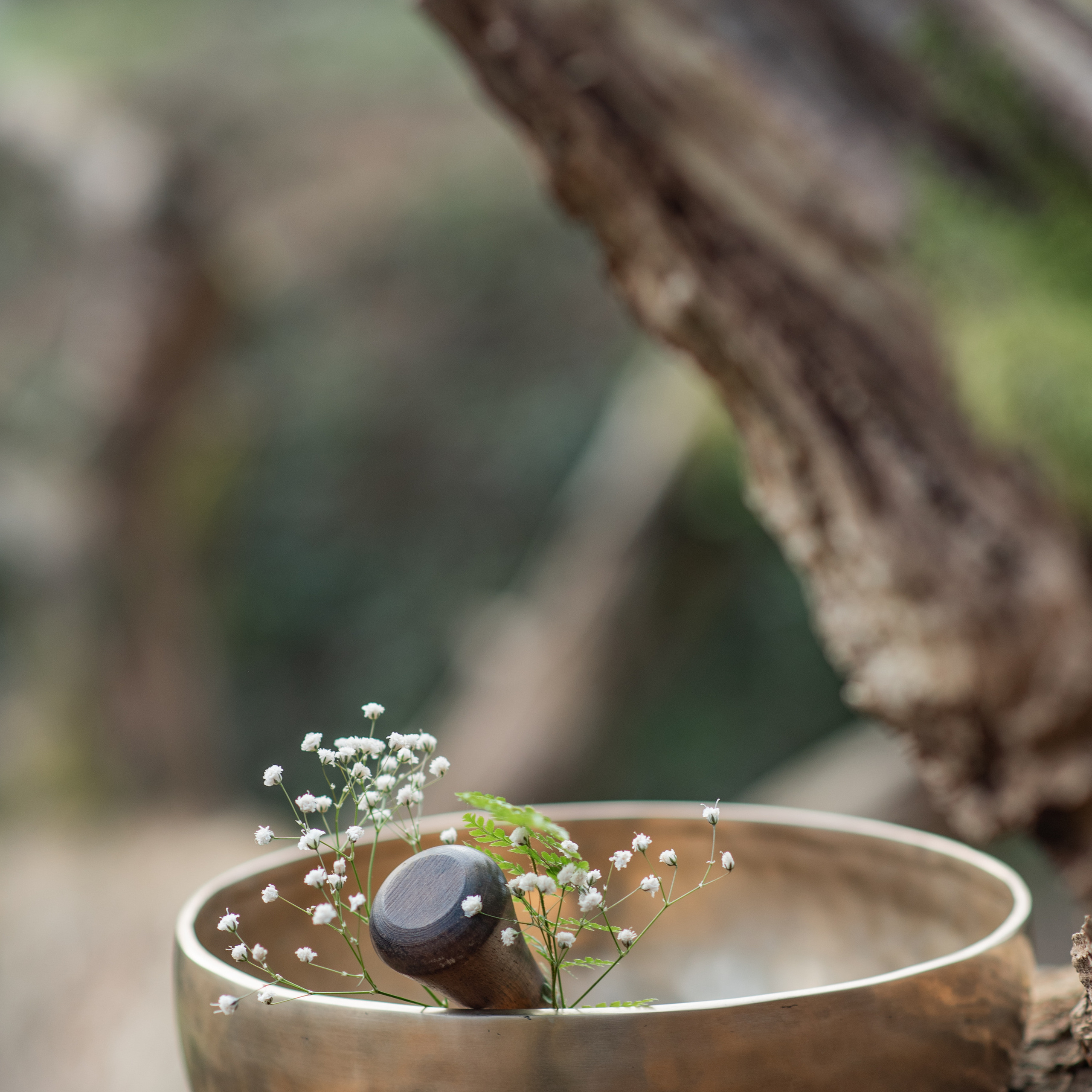 Дарья. Звуковая терапия. Ekaterina Verbitskaya. Photography