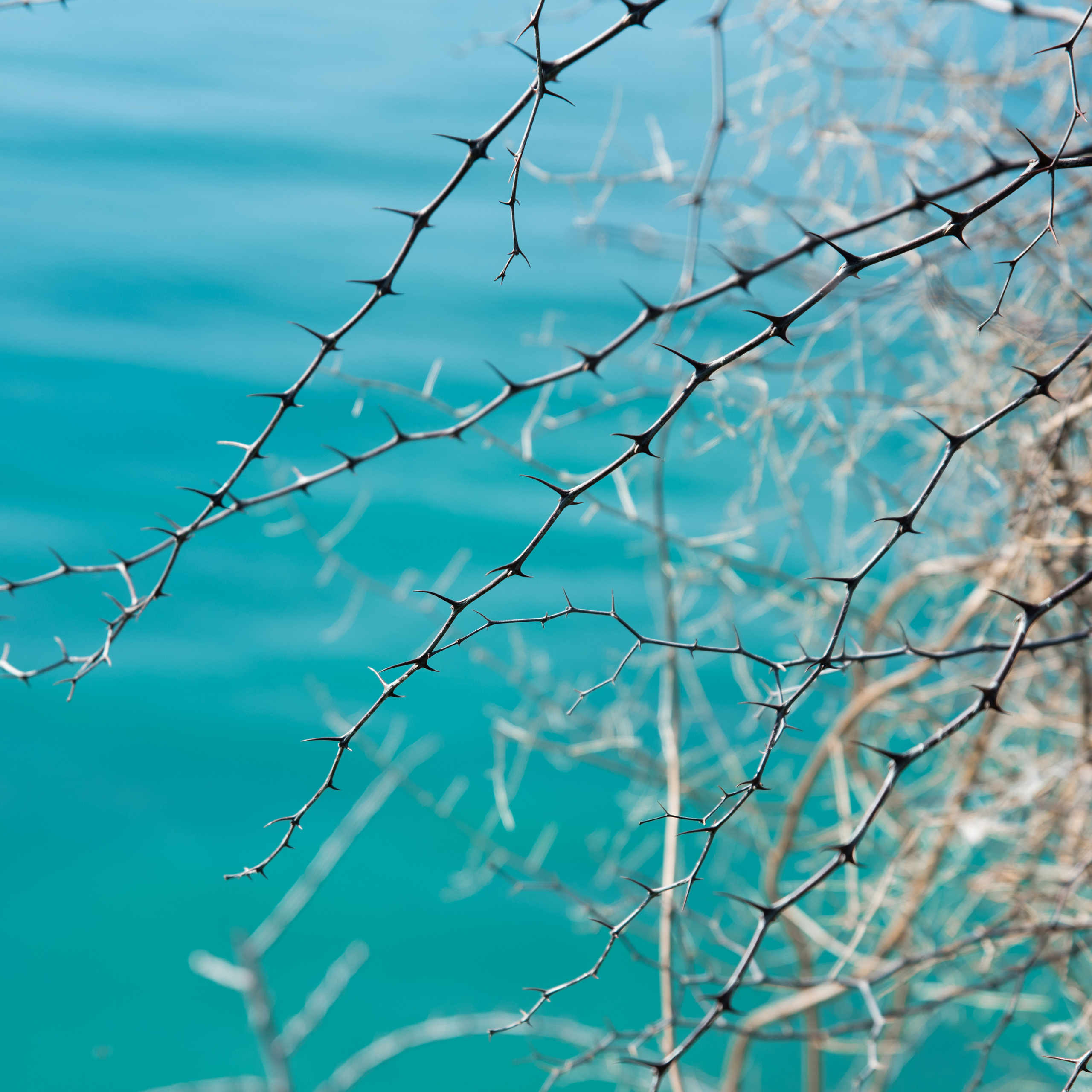 Вода. Ekaterina Verbitskaya. Photography