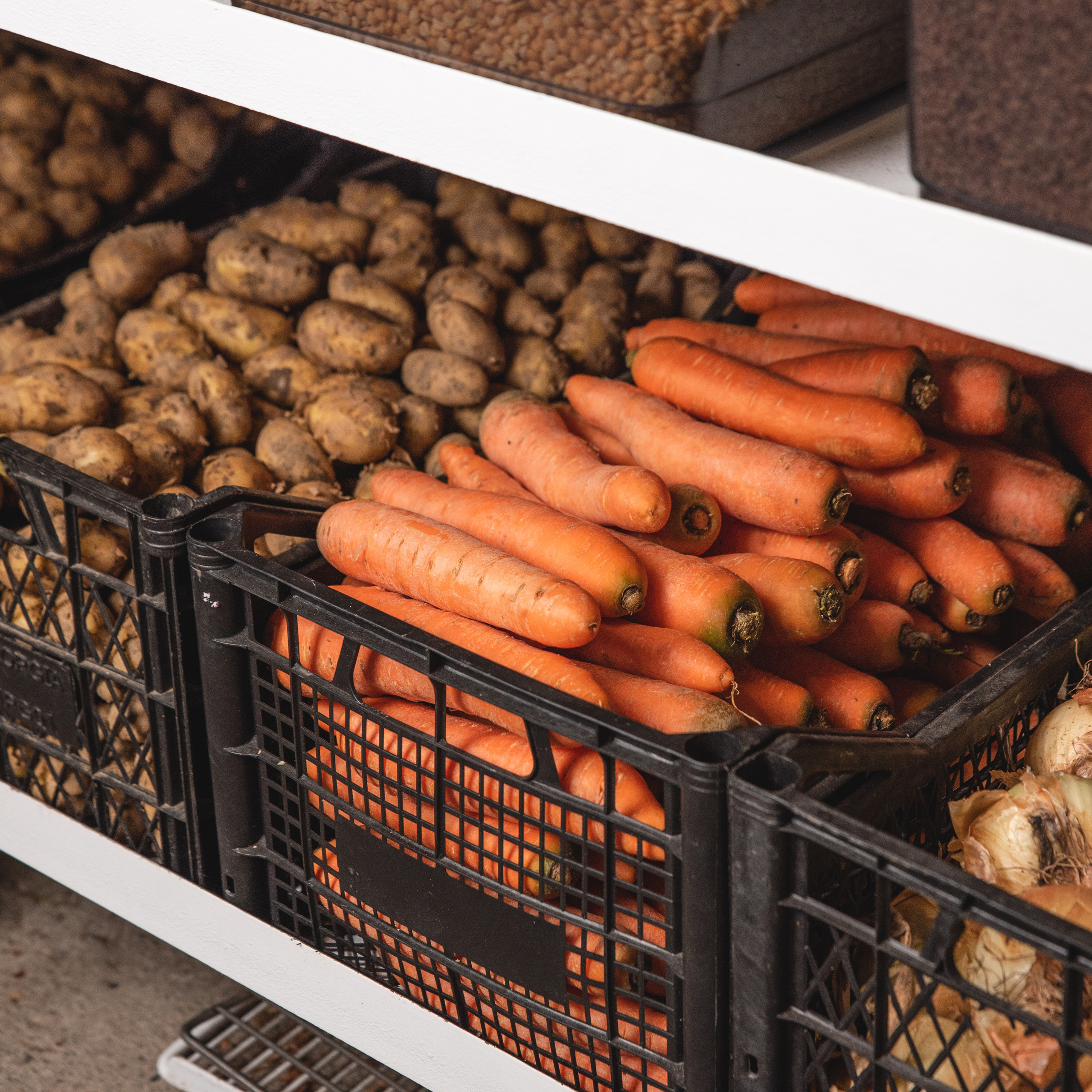 Накормим Батуми. Ekaterina Verbitskaya. Photography