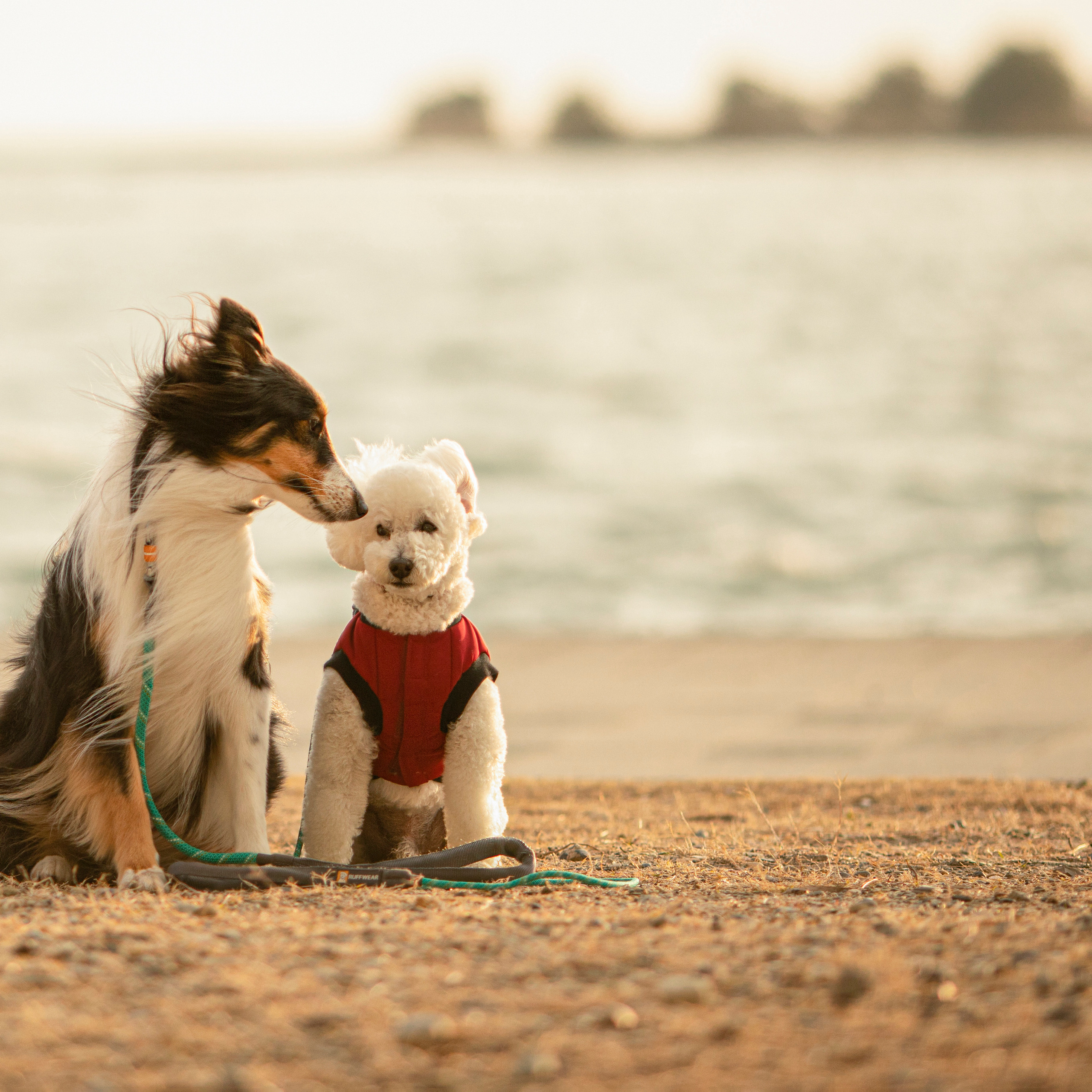 出張カメラマン　七五三　753 家族写真　家族　子供　記念写真　山梨県　東京　静岡　長野. Kids and Family Photographer in Japan　子供と家族の撮影　日本