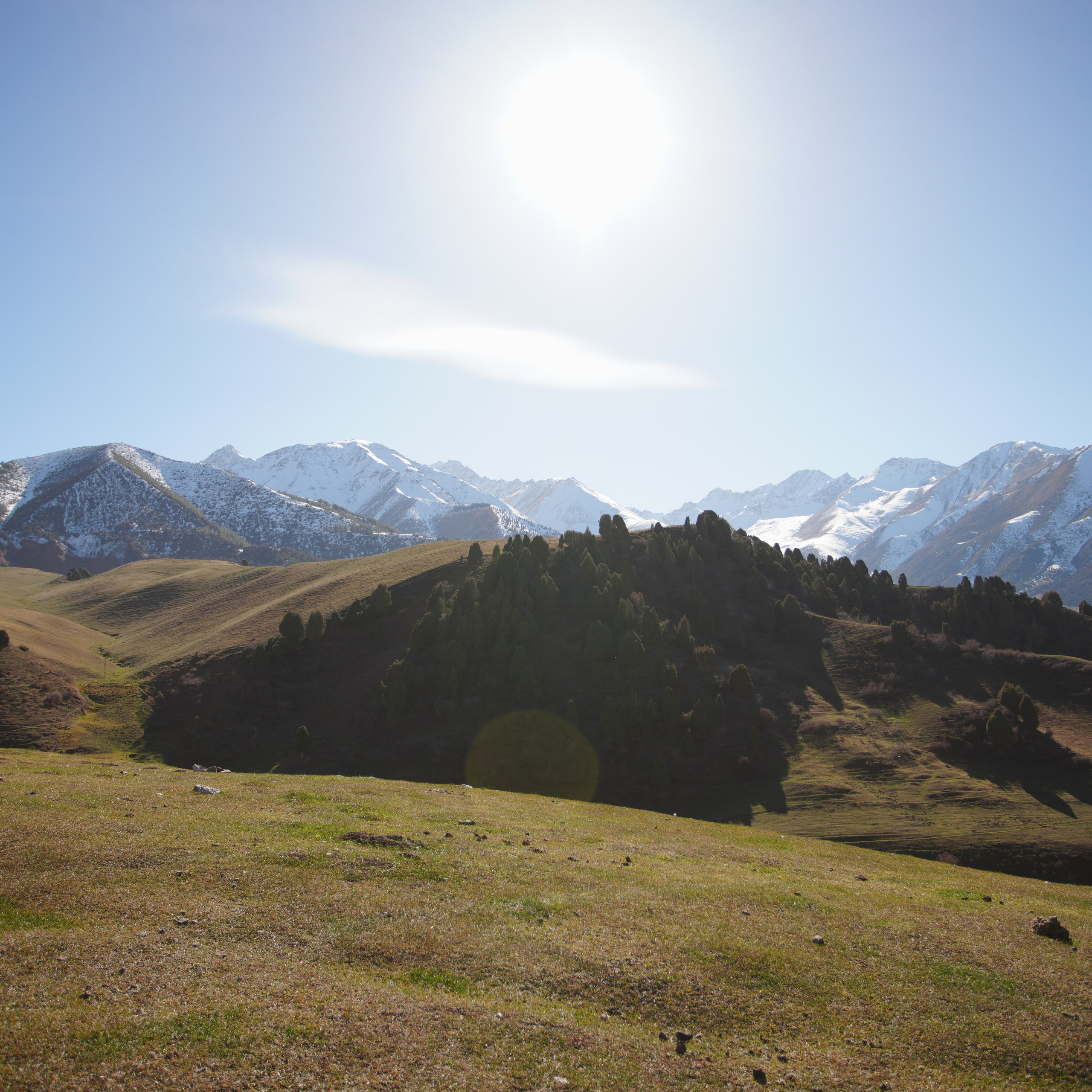 Отзывы. Свадебный фотограф Иван Попов в Москве, Бишкеке и по всему миру!