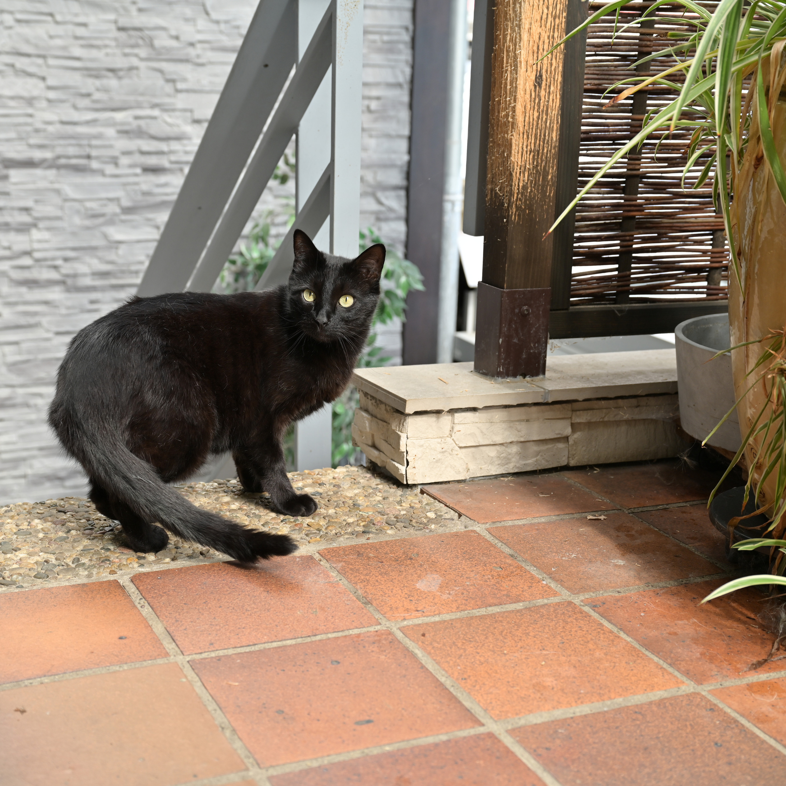 COMMENTAIRES. Mannequins, design, decoration, handmade, photographe…