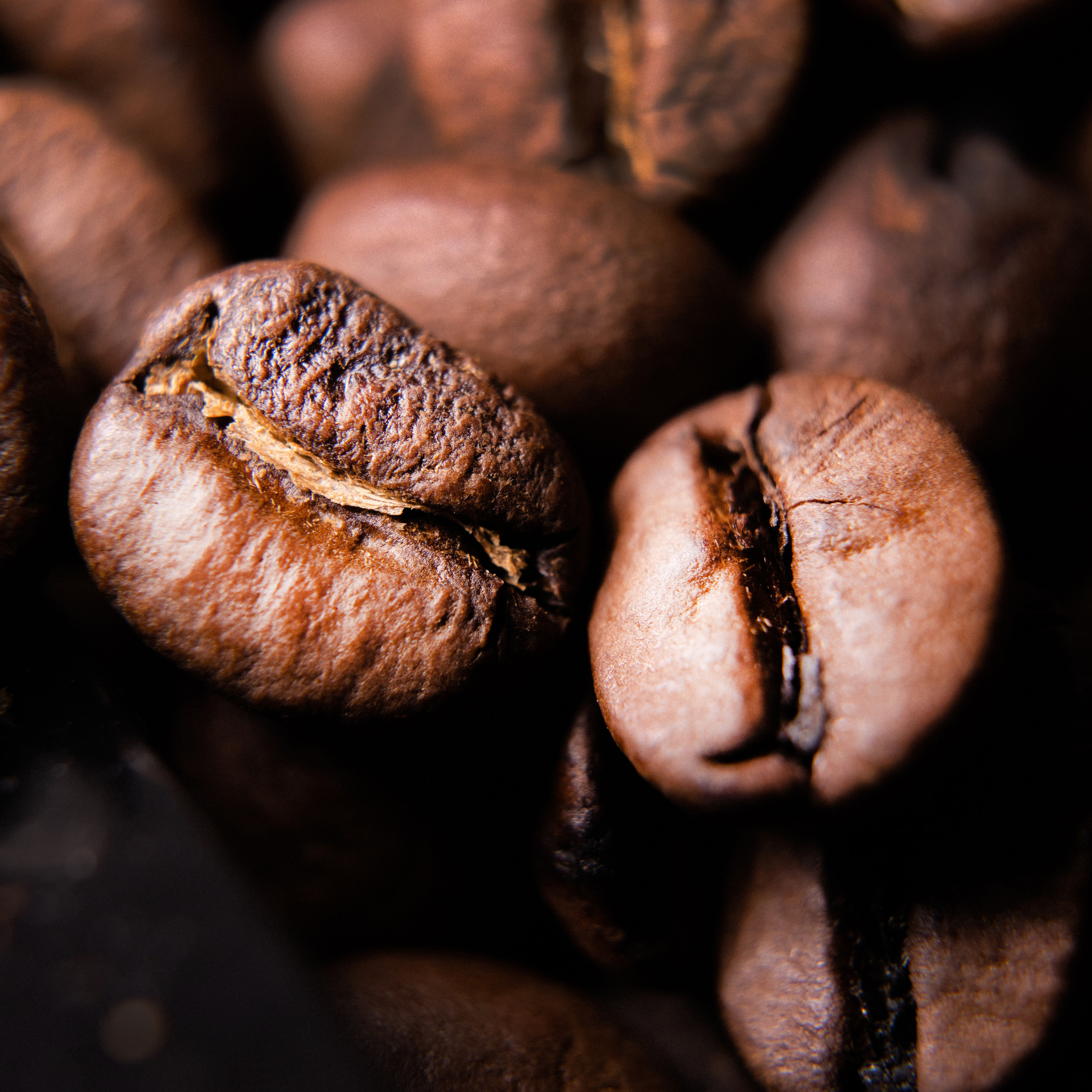 Foto commerciali & Eventi