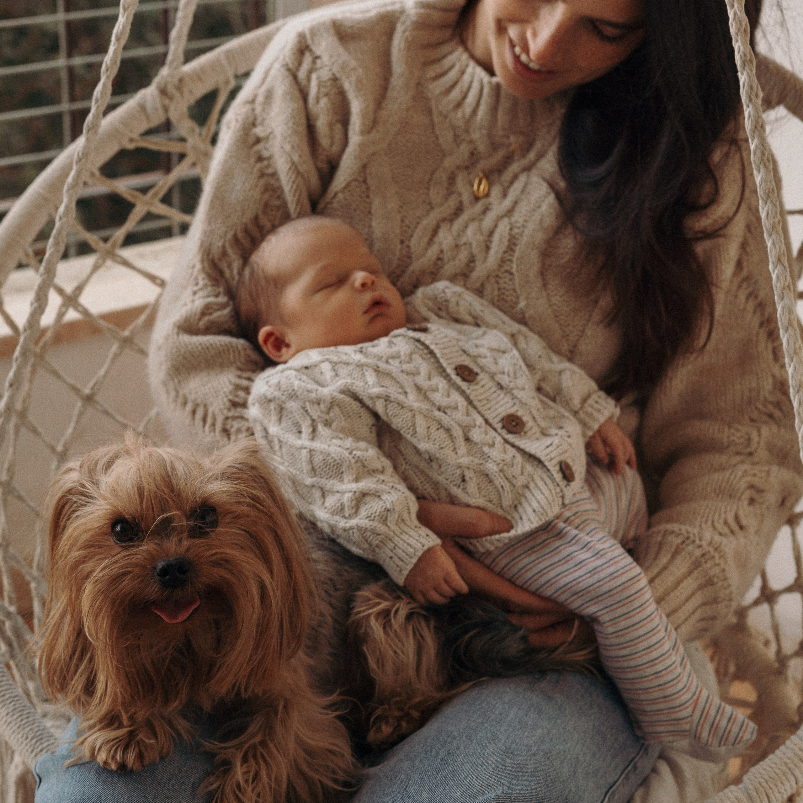 סשן צילום עם תינוק, אמא וכלבים | צילום משפחתי עם חיות מחמד