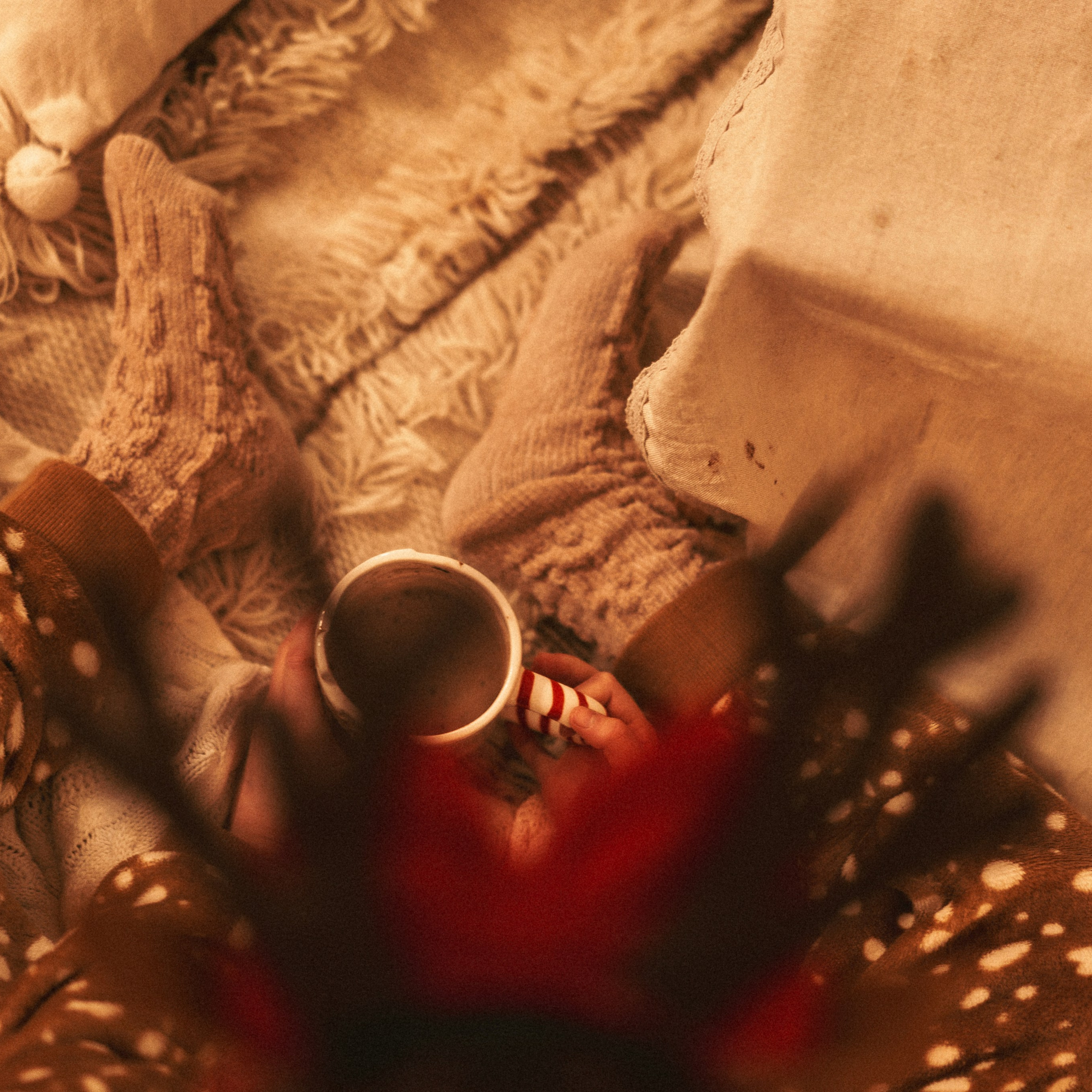 צילומי שנה חדשה בחיפה - צילומים קסומים לזיכרון