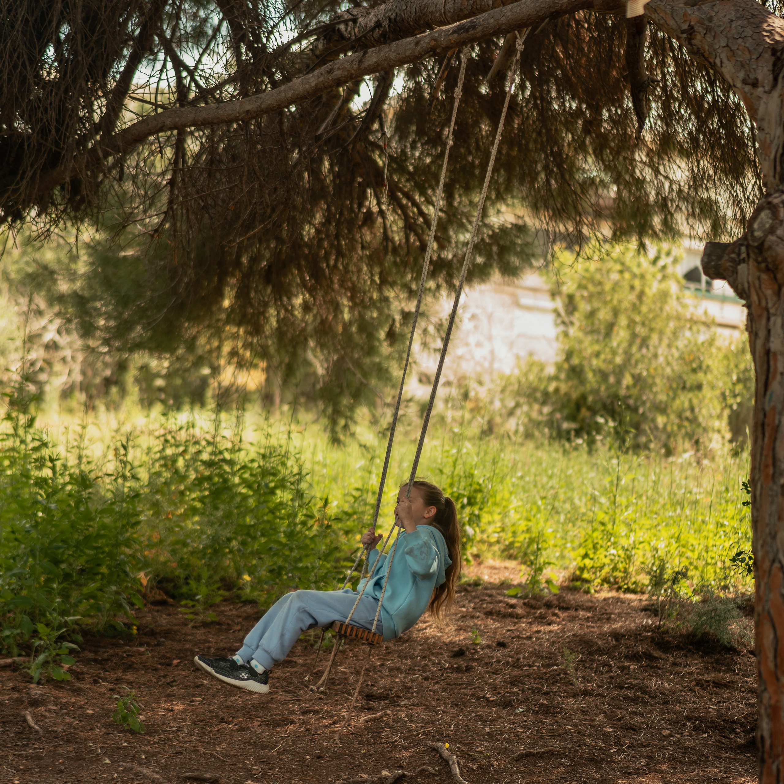 נדנדות לחוויות צילום קלילות וכיפיות