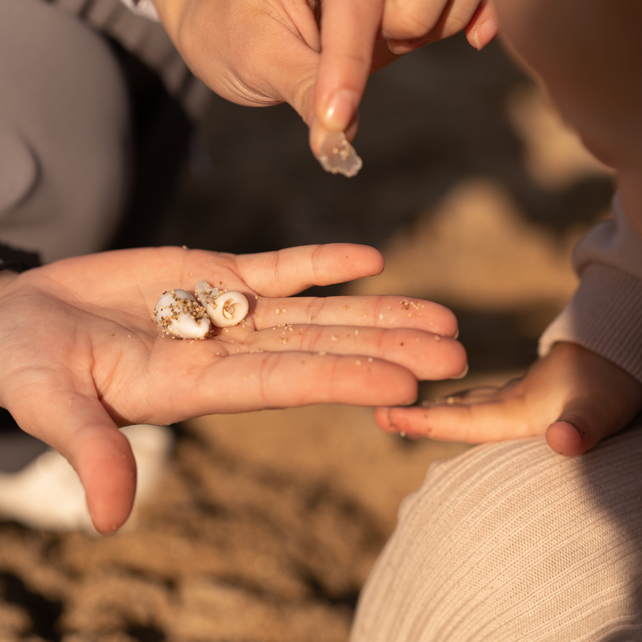 фотосессия израиль, фотограф израиль, Семейная фотосессия на природе, Фотосессия для беременных, детская фотосессия, детский фотограф хайфа, семейный фотограф хайфа, фотограф новорожденных в хайфе, фотограф хайфа, фотографы хайфы, семейная фотосессия израиль, детская фотосессия в парке, детская фотосессия израиль, детская фотосессия хайфа, семейная фотосессия хайфа, фотосессия в хайфе, Где найти фотографа для семейной съемки, Индивидуальная детская фотосессия, Как одеться на семейную фотосессию, Креативные идеи для семейной фотосессии, Летняя семейная фотосессия на улице, Подготовка к семейной фотосессии советы, Портфолио фотографа семейных съемок, Праздничная семейная фотосессия, Профессиональный фотограф для семьи, Стильные семейные фото в городе, Тематическая фотосессия для семьи, Фотограф на детский день рождения, Фотограф на детский праздник цены, Фотограф на дом к семье, Фотосессия новорожденных с родителями, Фотосъемка в парке для семьи, Фотосъемка на выпускной в детском саду, Цены на семейную фотосъемку