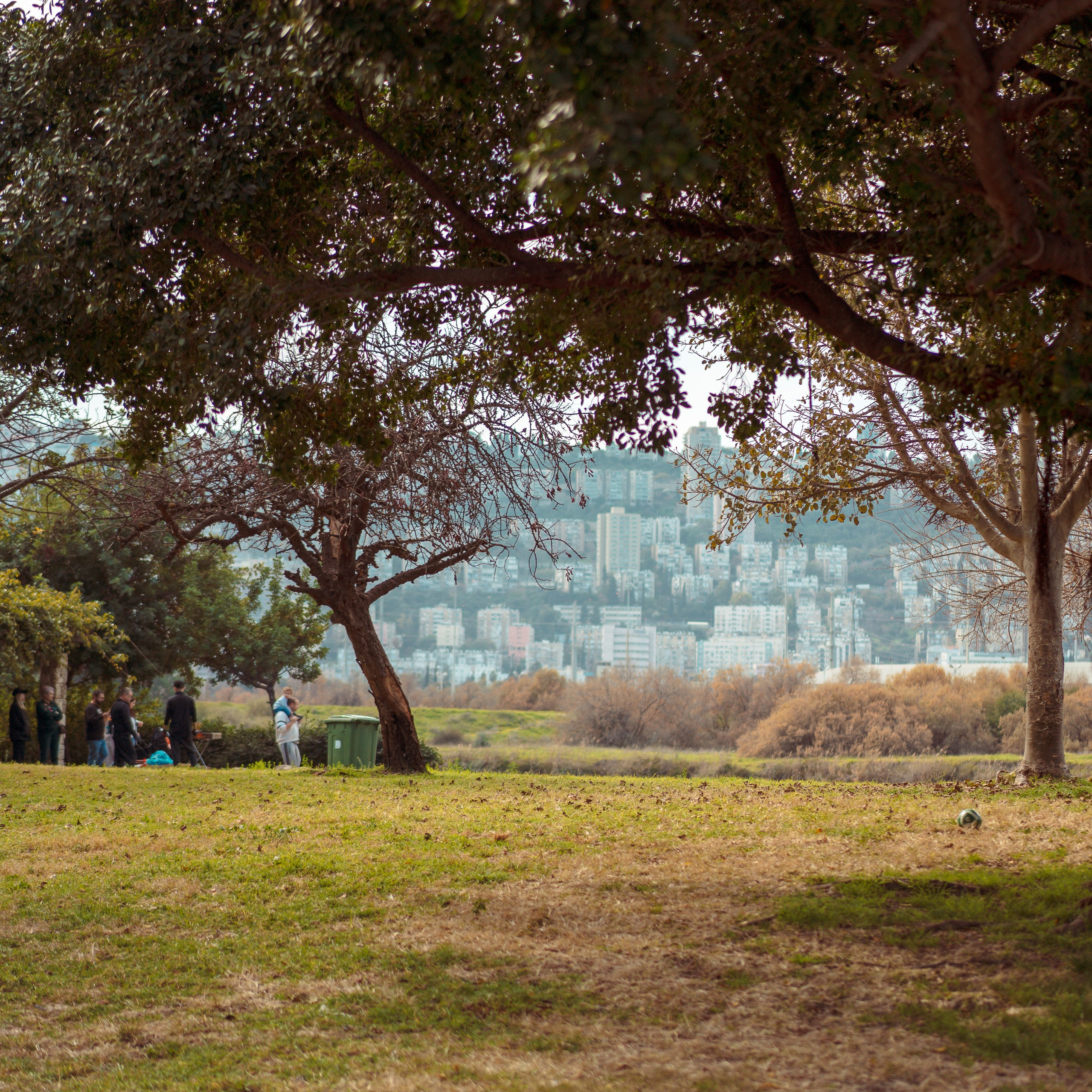 Family Photoshoot in Kishon Park | Capturing Moments in Nature