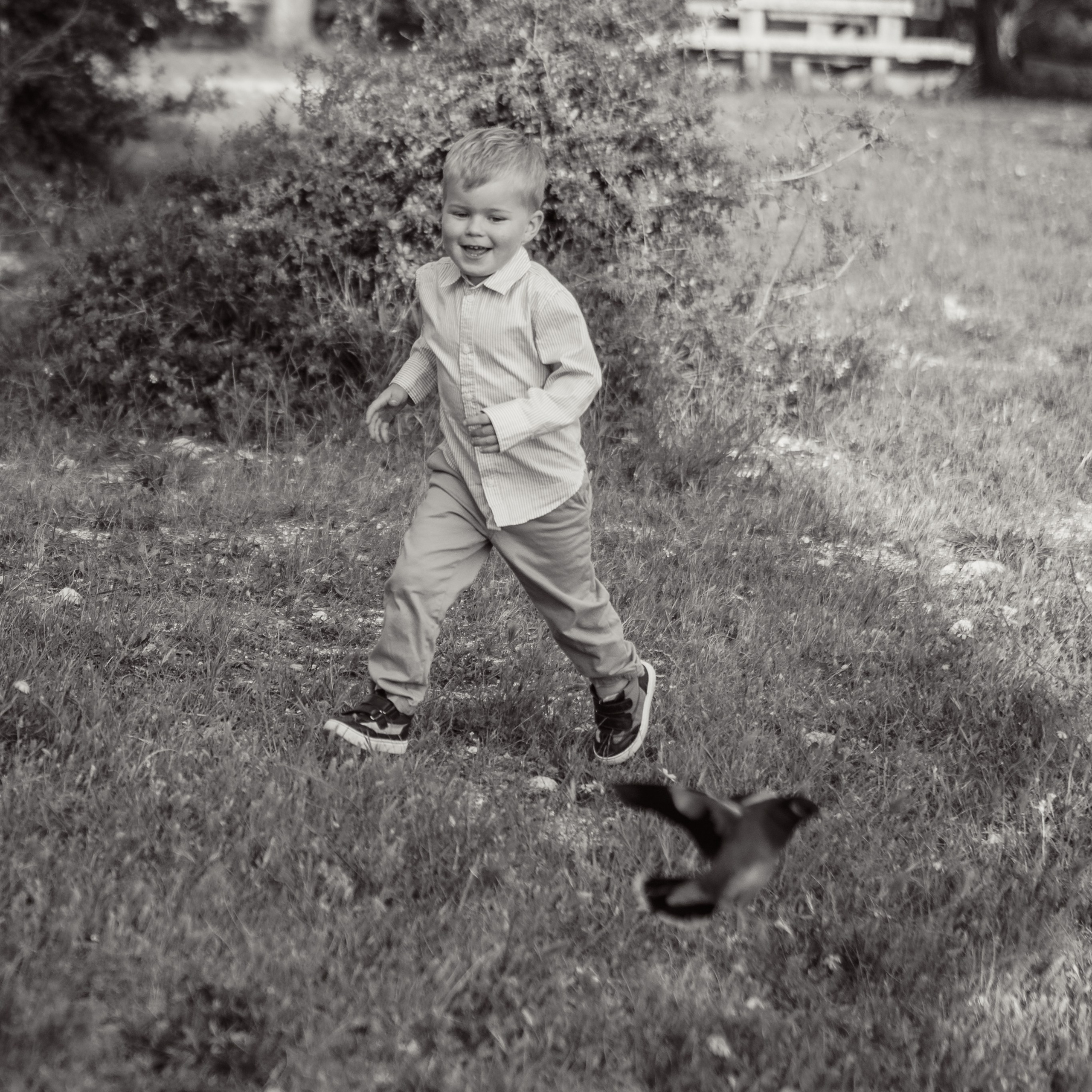 יום הולדת של ארישה: רגעים שמחים במצלמה