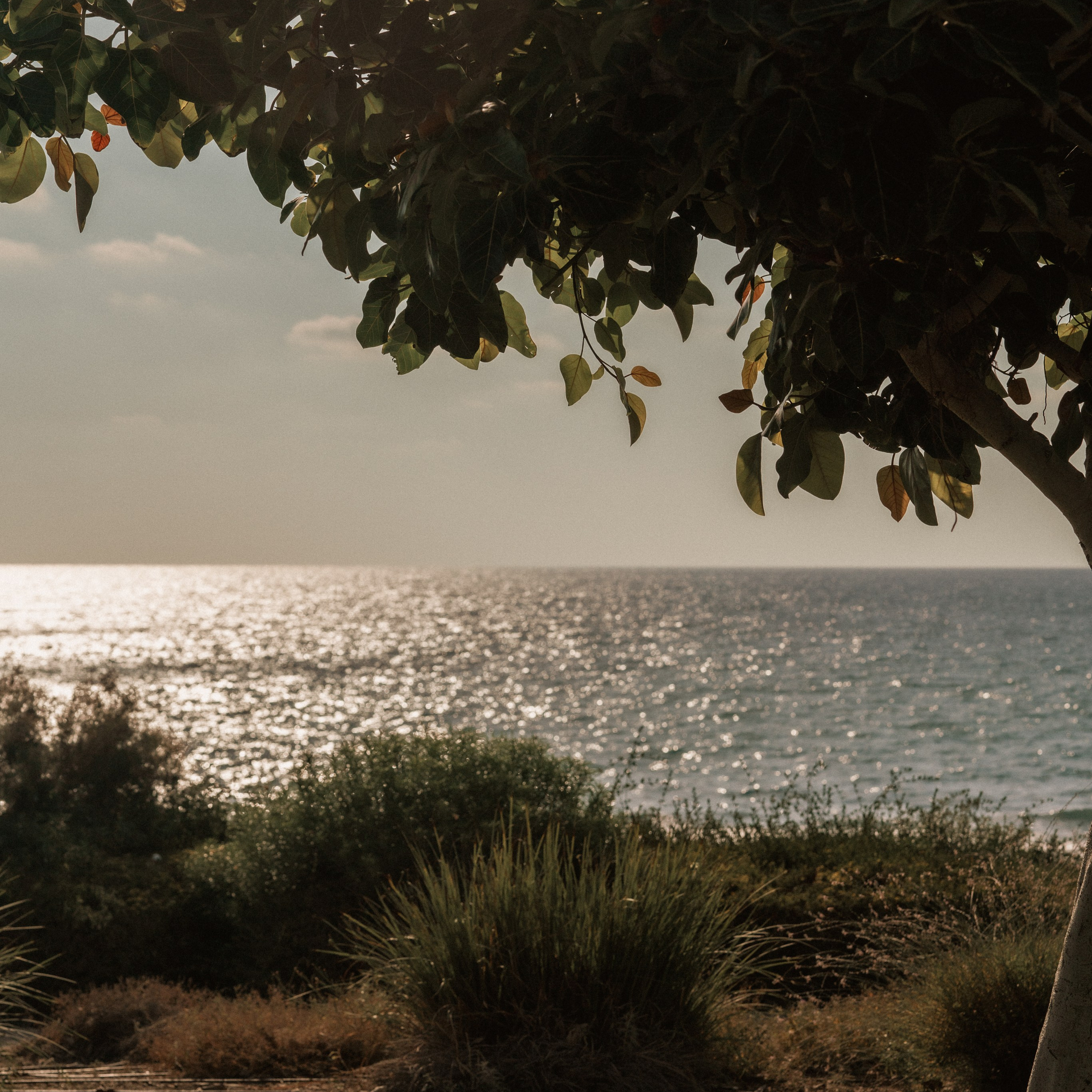 Photoshoots in Geht Park: Green Space for Harmonious Shots