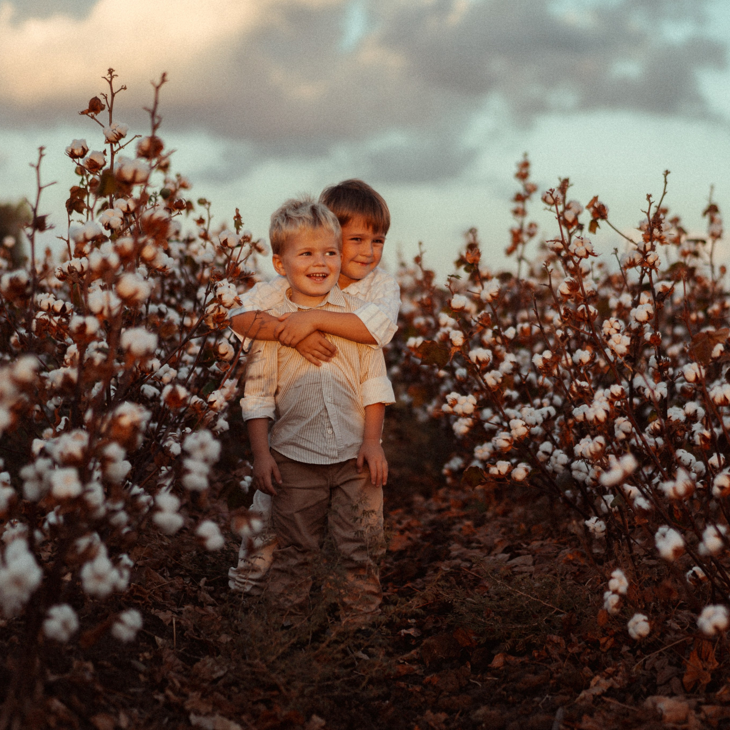 Cotton Fields: Autumn Photoshoots