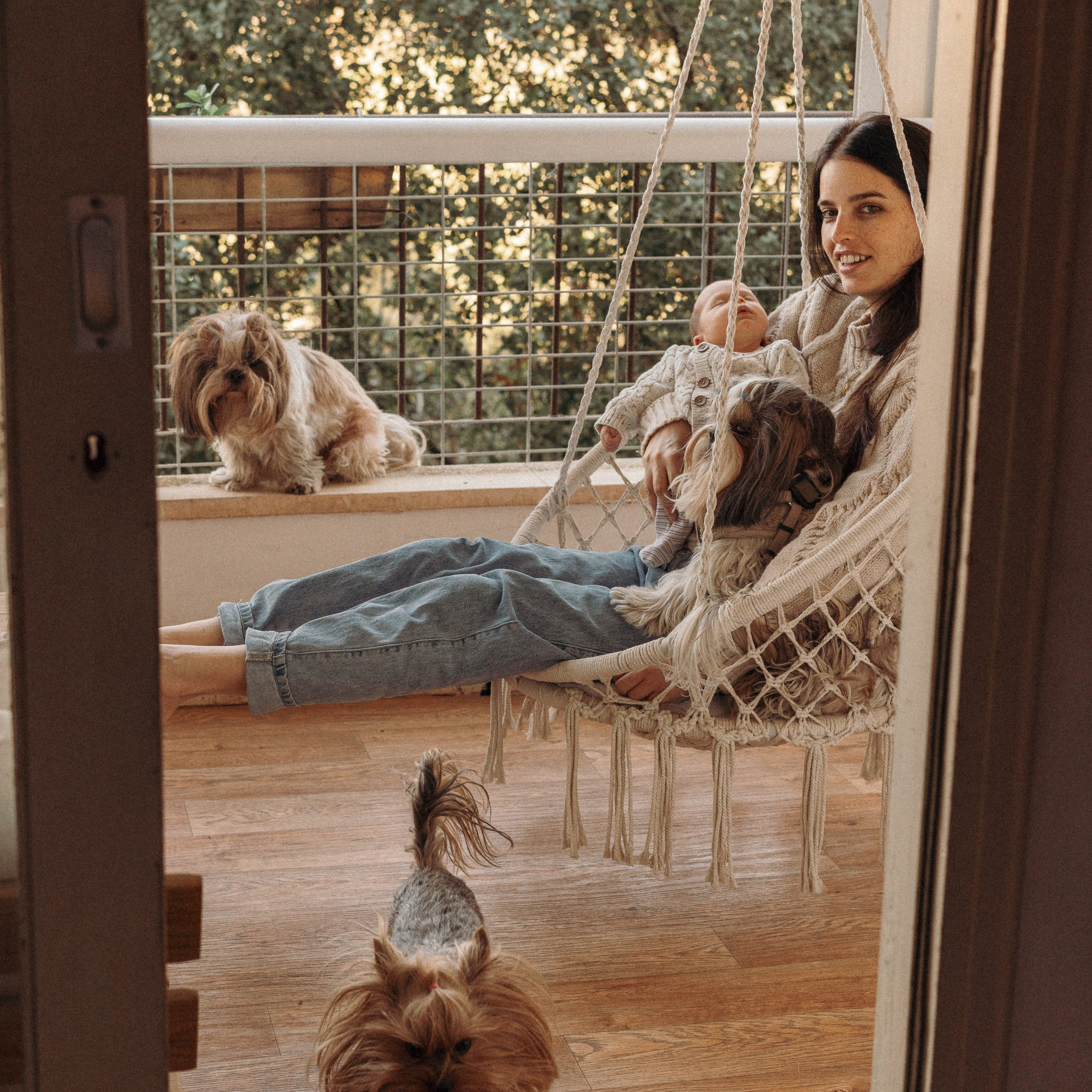 סשן צילום עם תינוק, אמא וכלבים | צילום משפחתי עם חיות מחמד