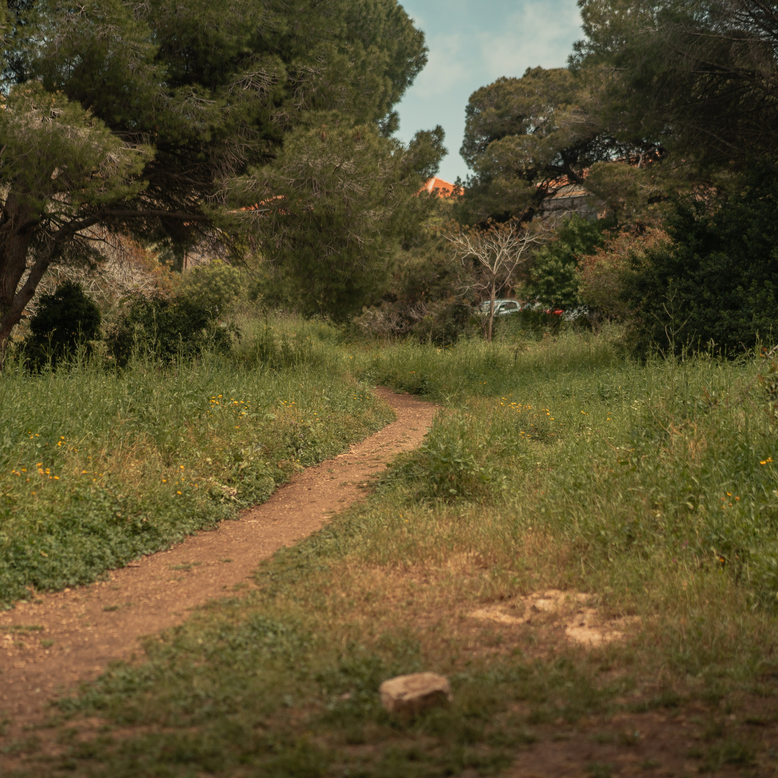 נדנדות לחוויות צילום קלילות וכיפיות