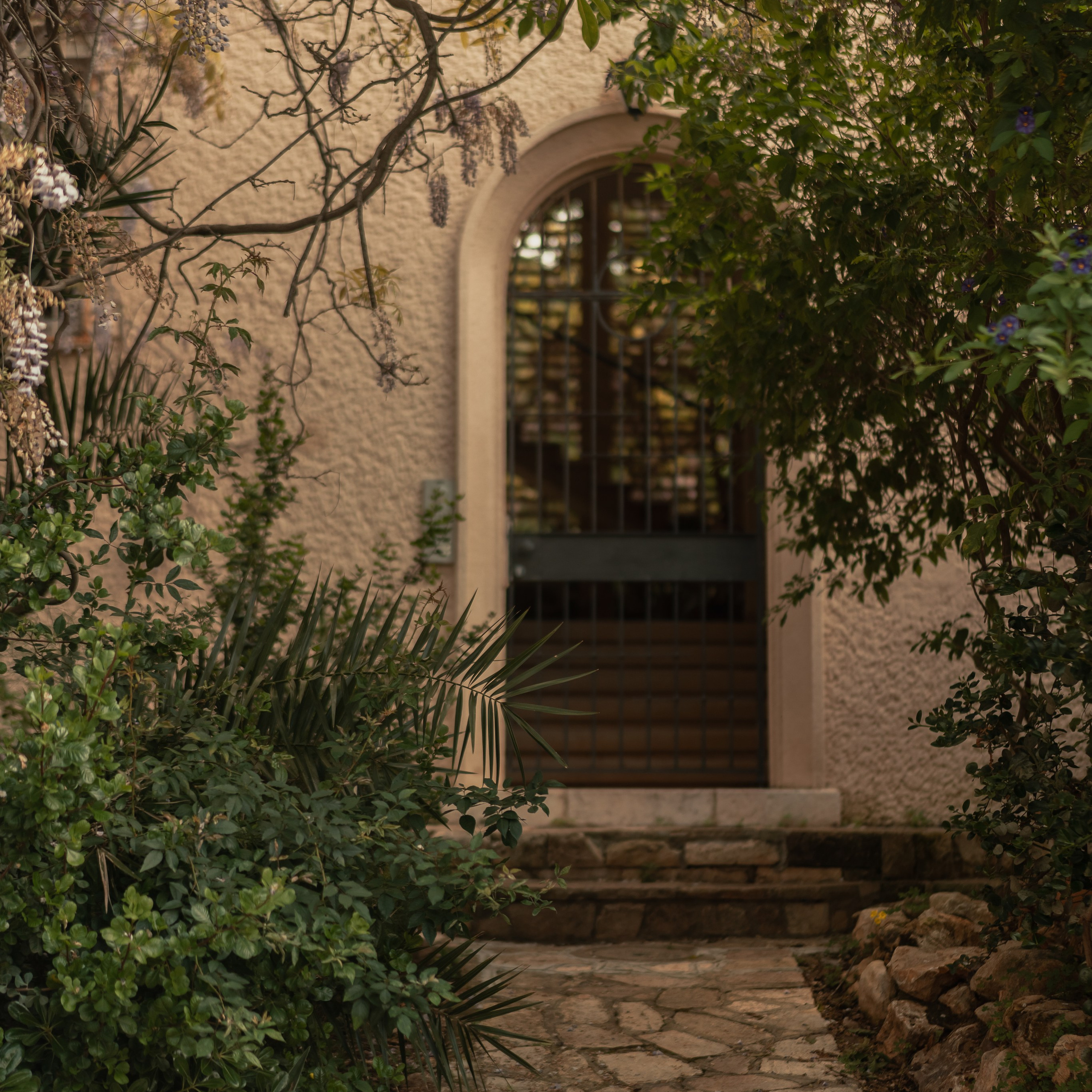 נדנדות לחוויות צילום קלילות וכיפיות