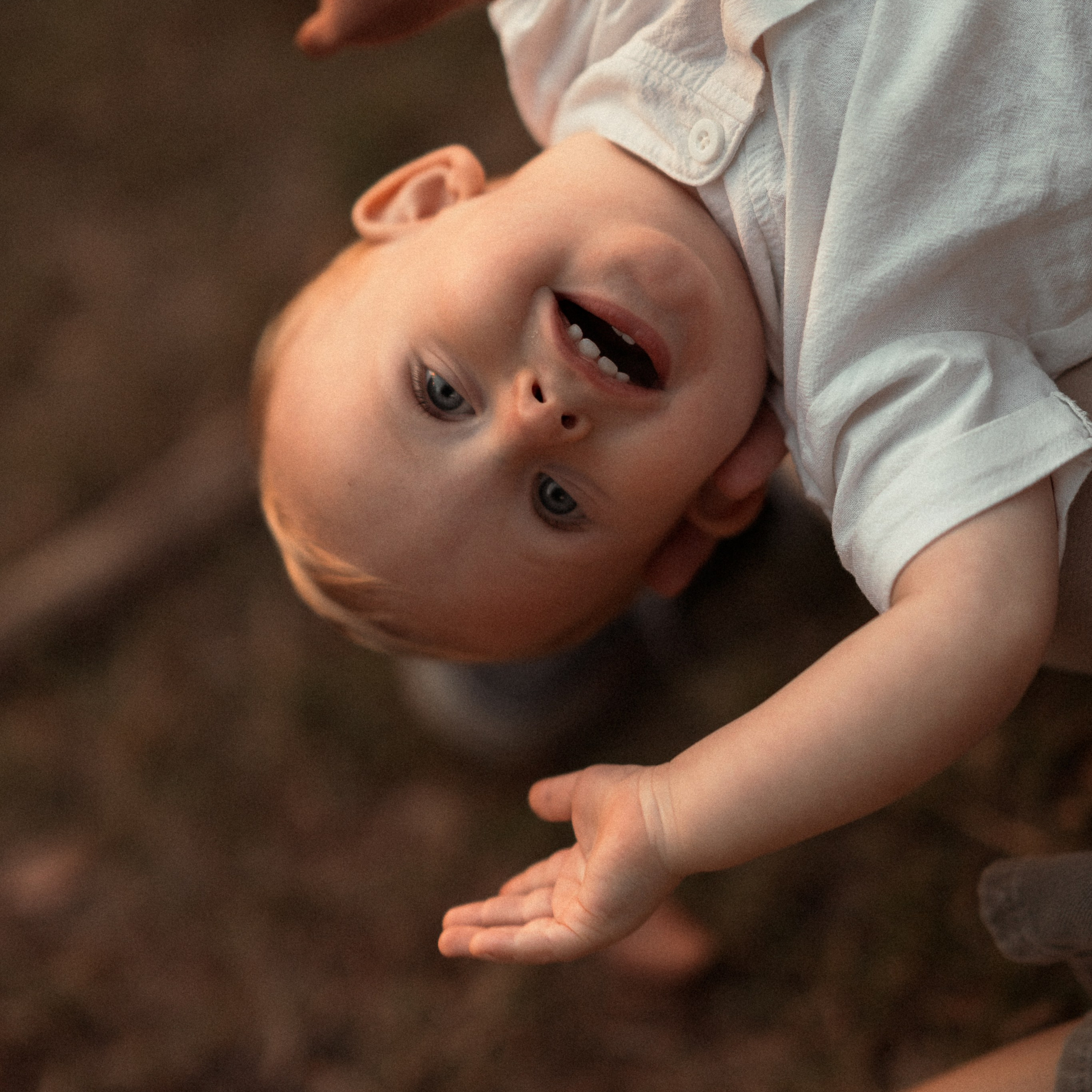 צילום לייף סטייל בפארק כהן, חיפה - טבע אידיאלי לצילום