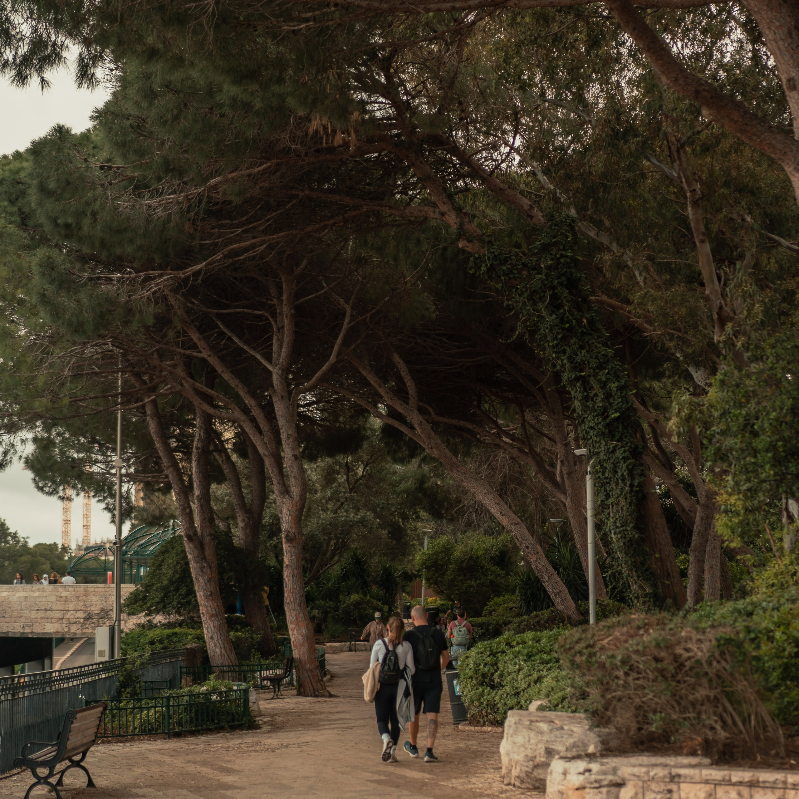 תצפית פרומנד לואי בחיפה: צילום עם נוף עירוני