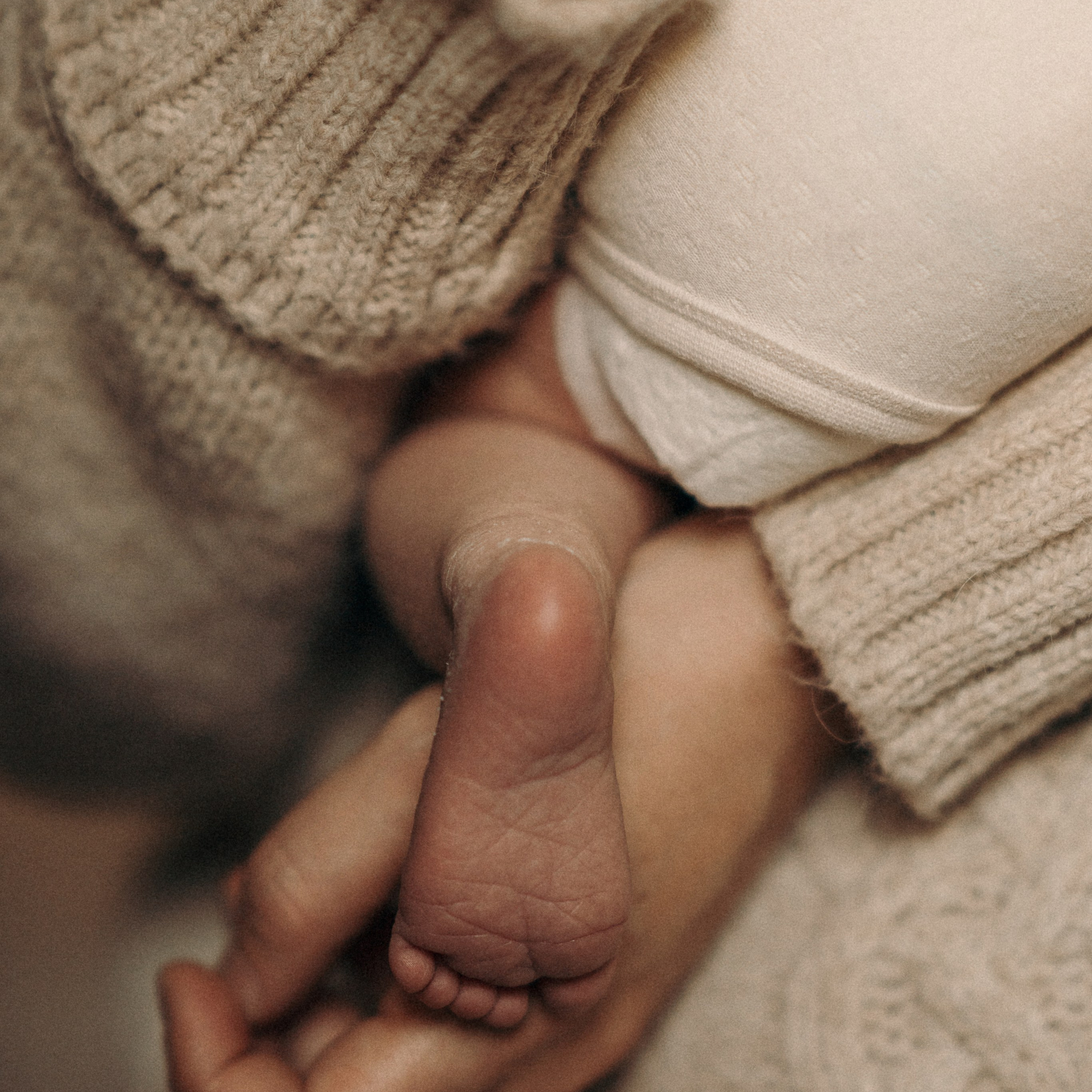 סשן צילום עם תינוק, אמא וכלבים | צילום משפחתי עם חיות מחמד