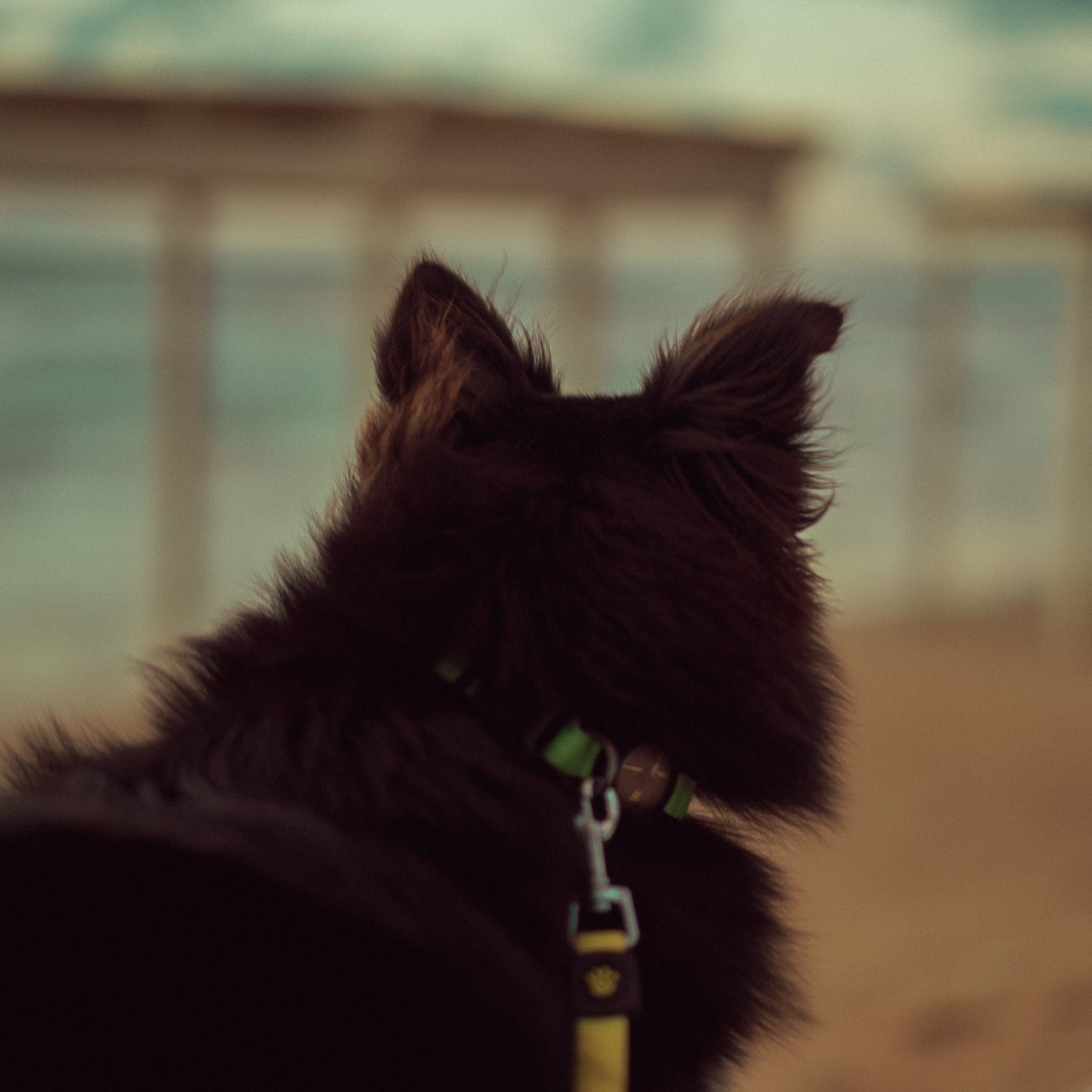 Dado Beach: Sunset Photoshoot