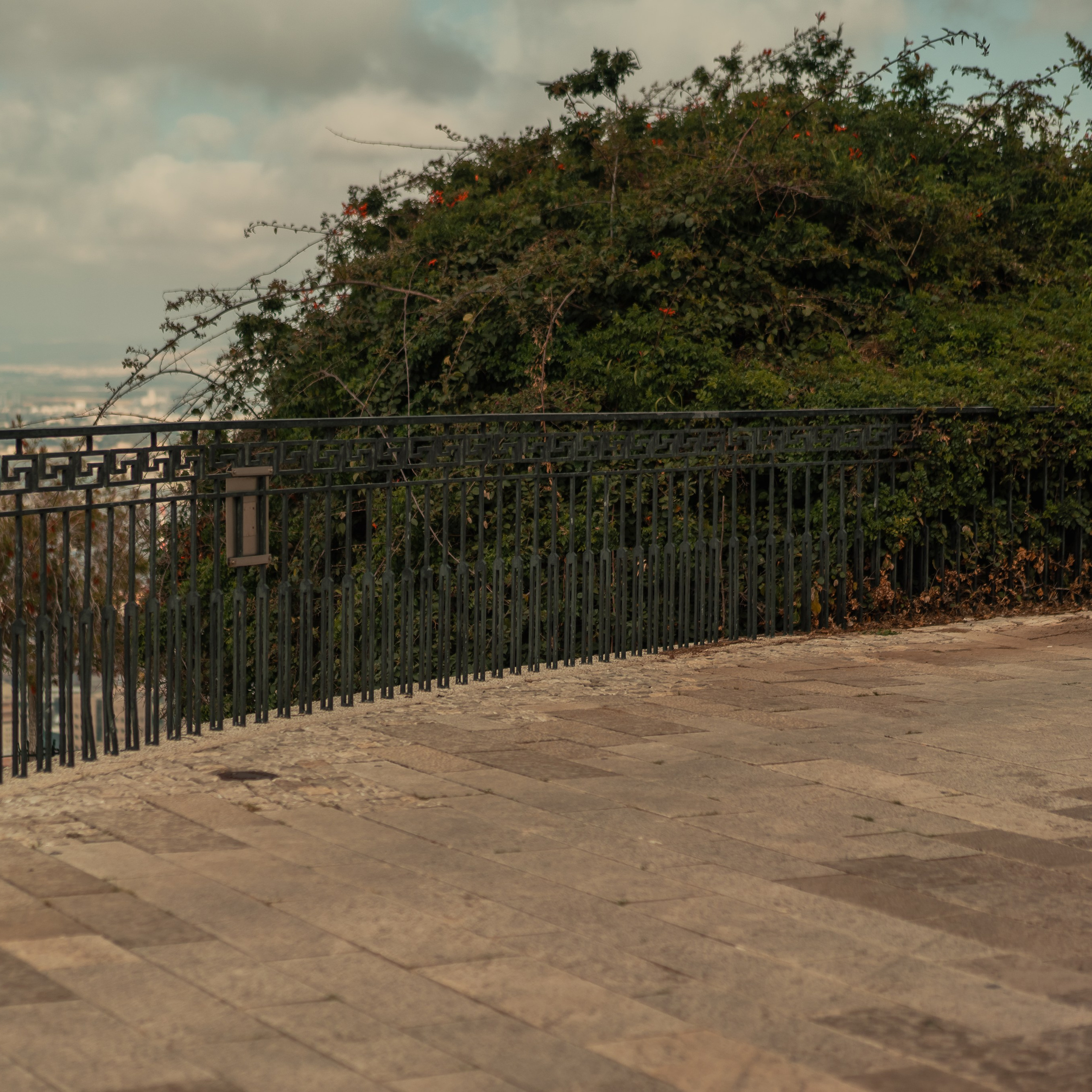 תצפית פרומנד לואי בחיפה: צילום עם נוף עירוני