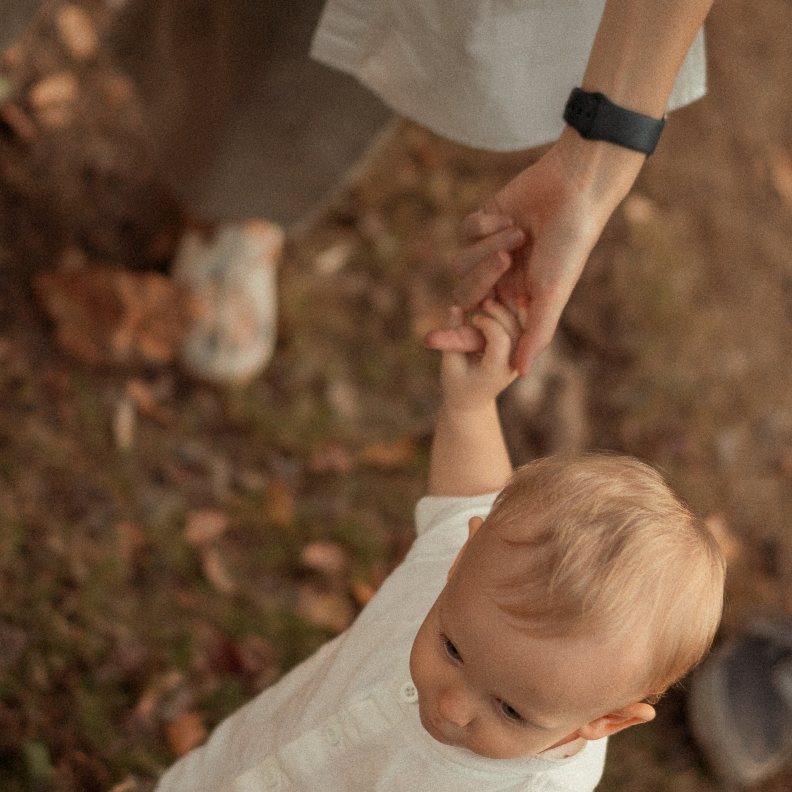 צילום לייף סטייל בפארק כהן, חיפה - טבע אידיאלי לצילום