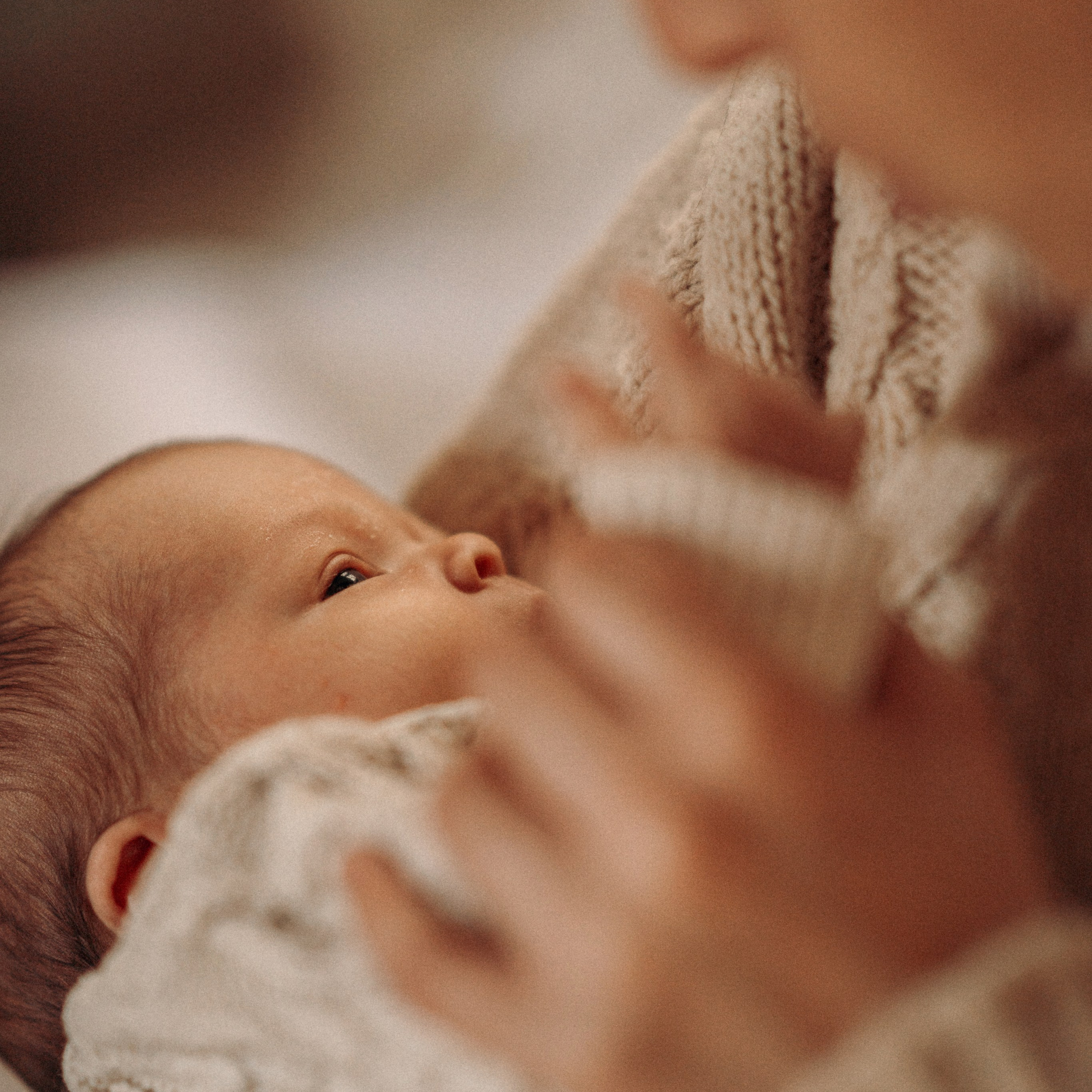 סשן צילום עם תינוק, אמא וכלבים | צילום משפחתי עם חיות מחמד
