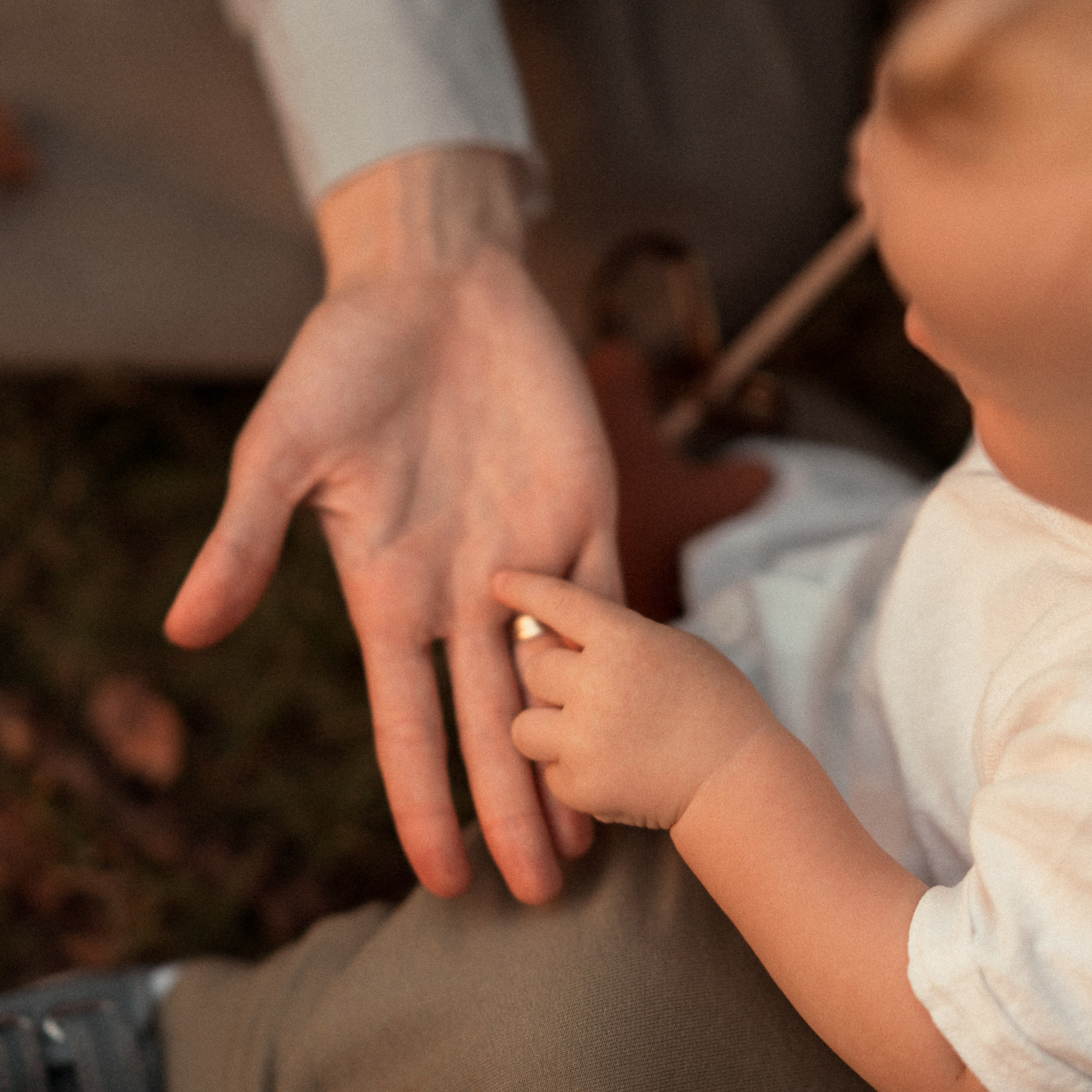 צילום לייף סטייל בפארק כהן, חיפה - טבע אידיאלי לצילום