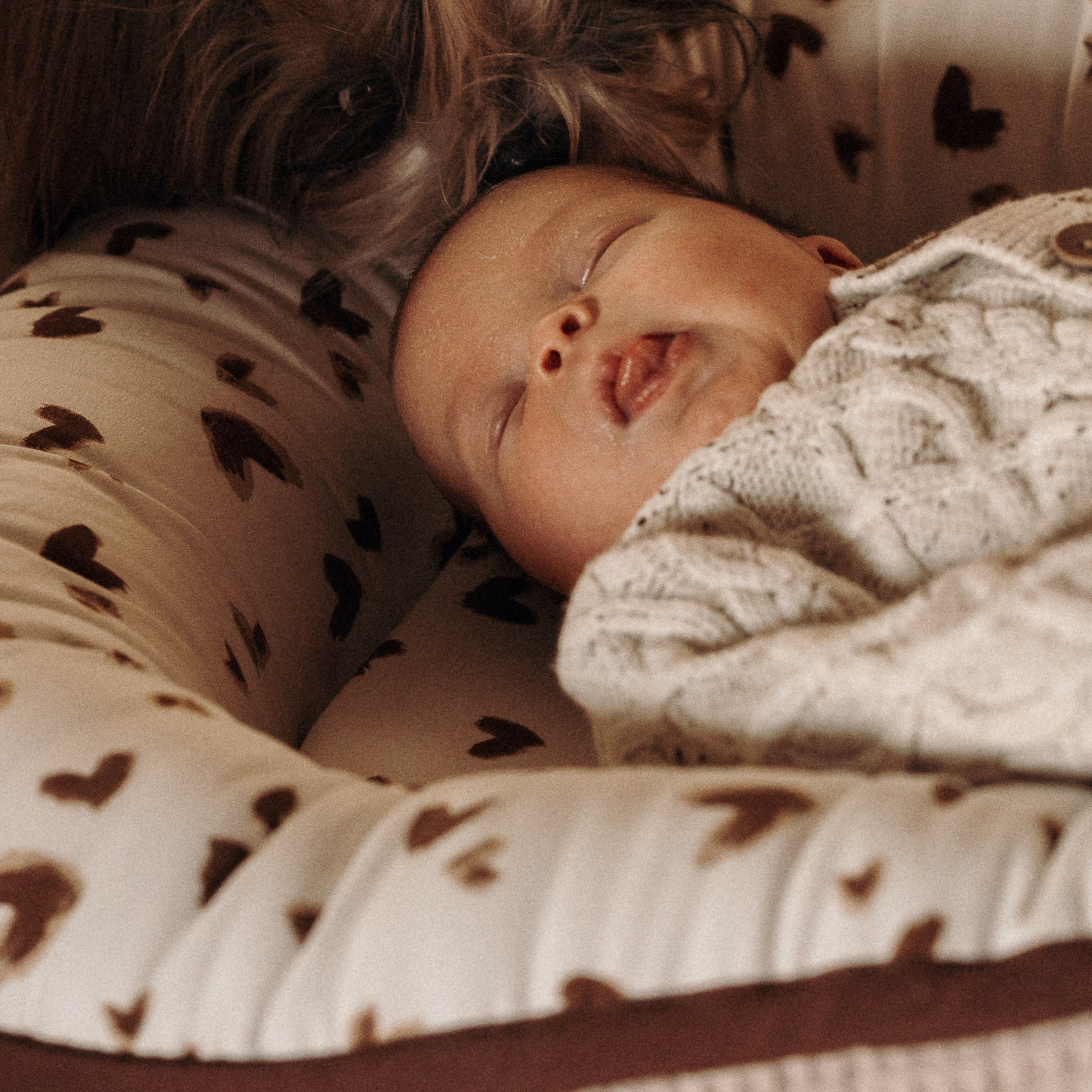 סשן צילום עם תינוק, אמא וכלבים | צילום משפחתי עם חיות מחמד