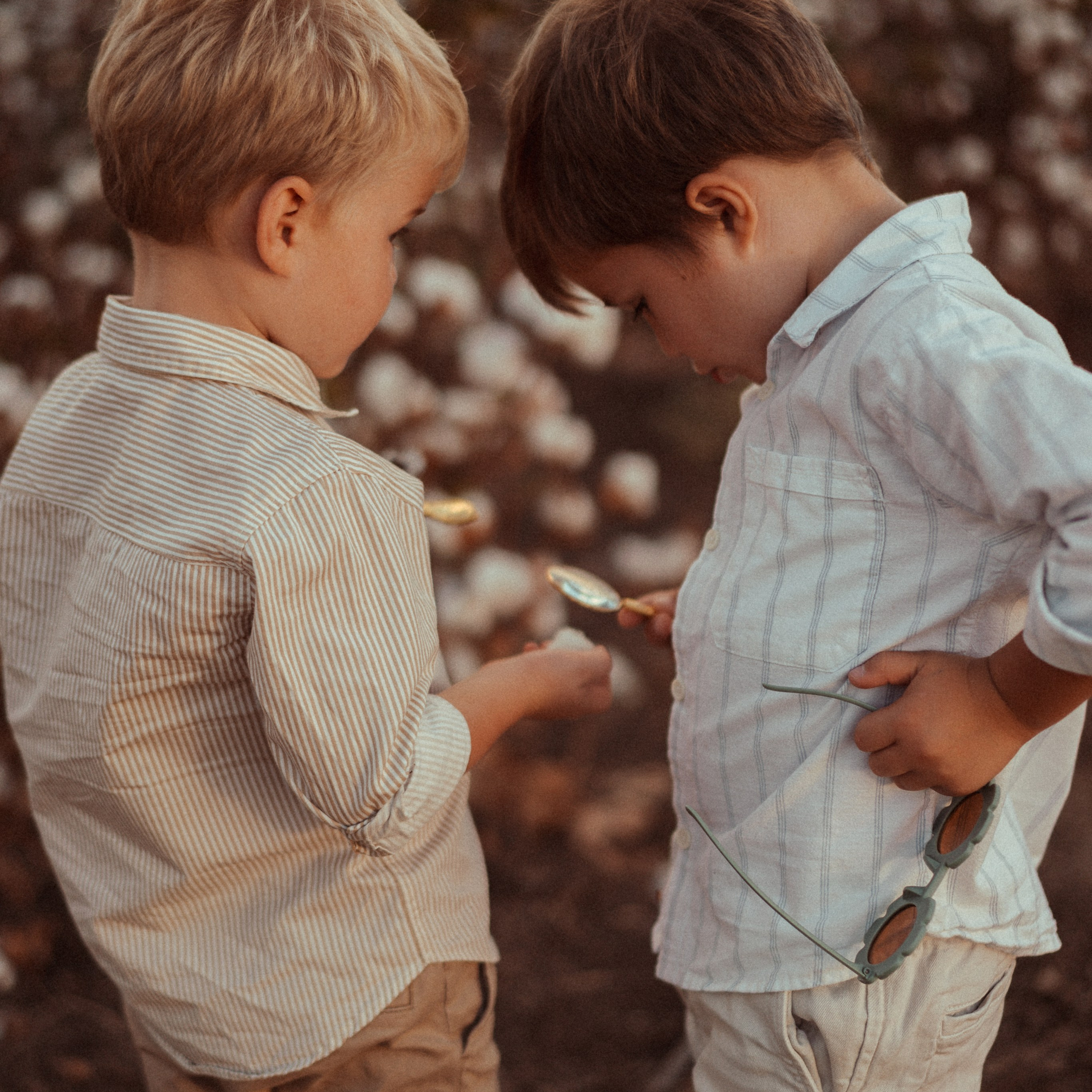 Cotton Fields: Autumn Photoshoots