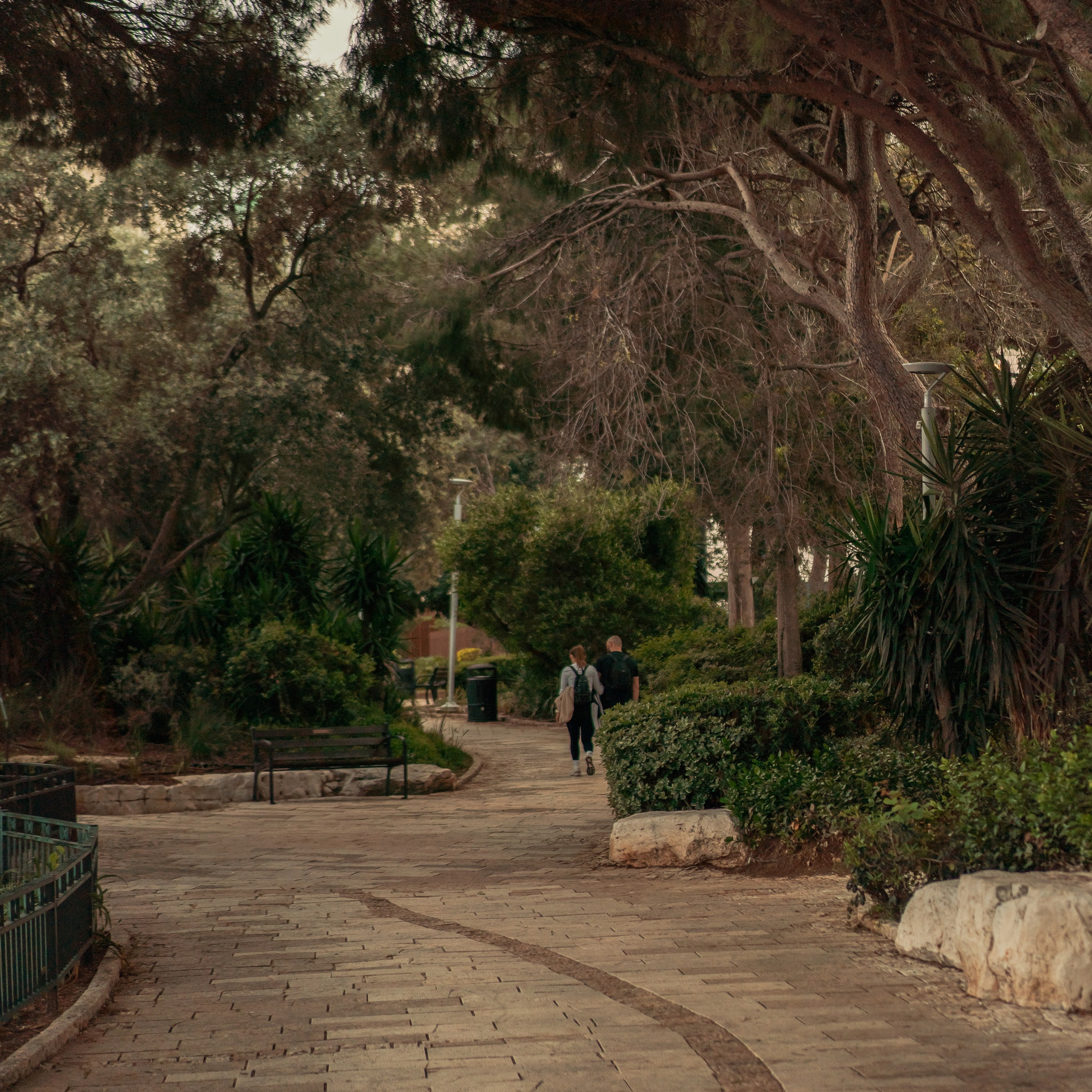 תצפית פרומנד לואי בחיפה: צילום עם נוף עירוני