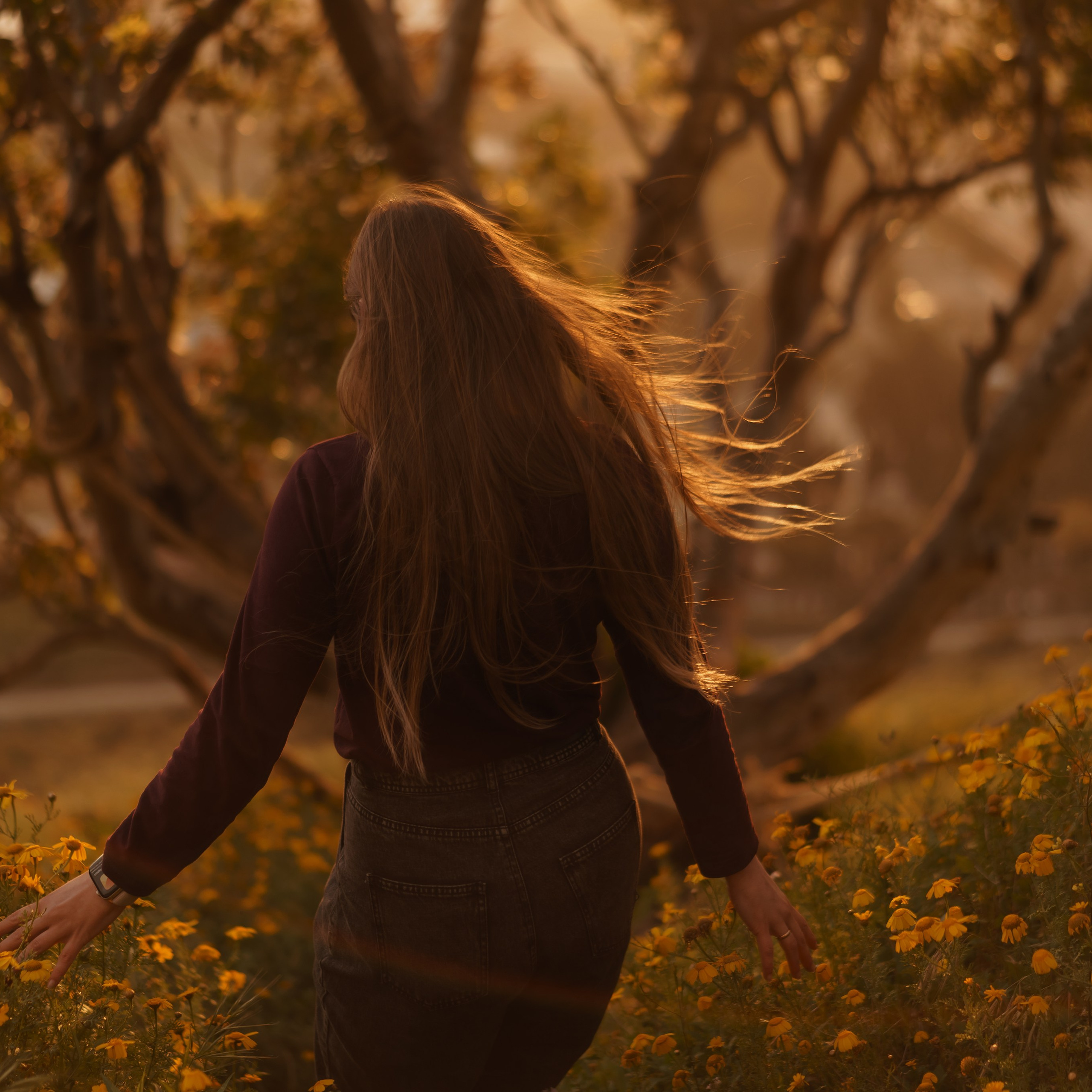 Viewing Platform with a Tree: Ideal for Spring Photoshoots