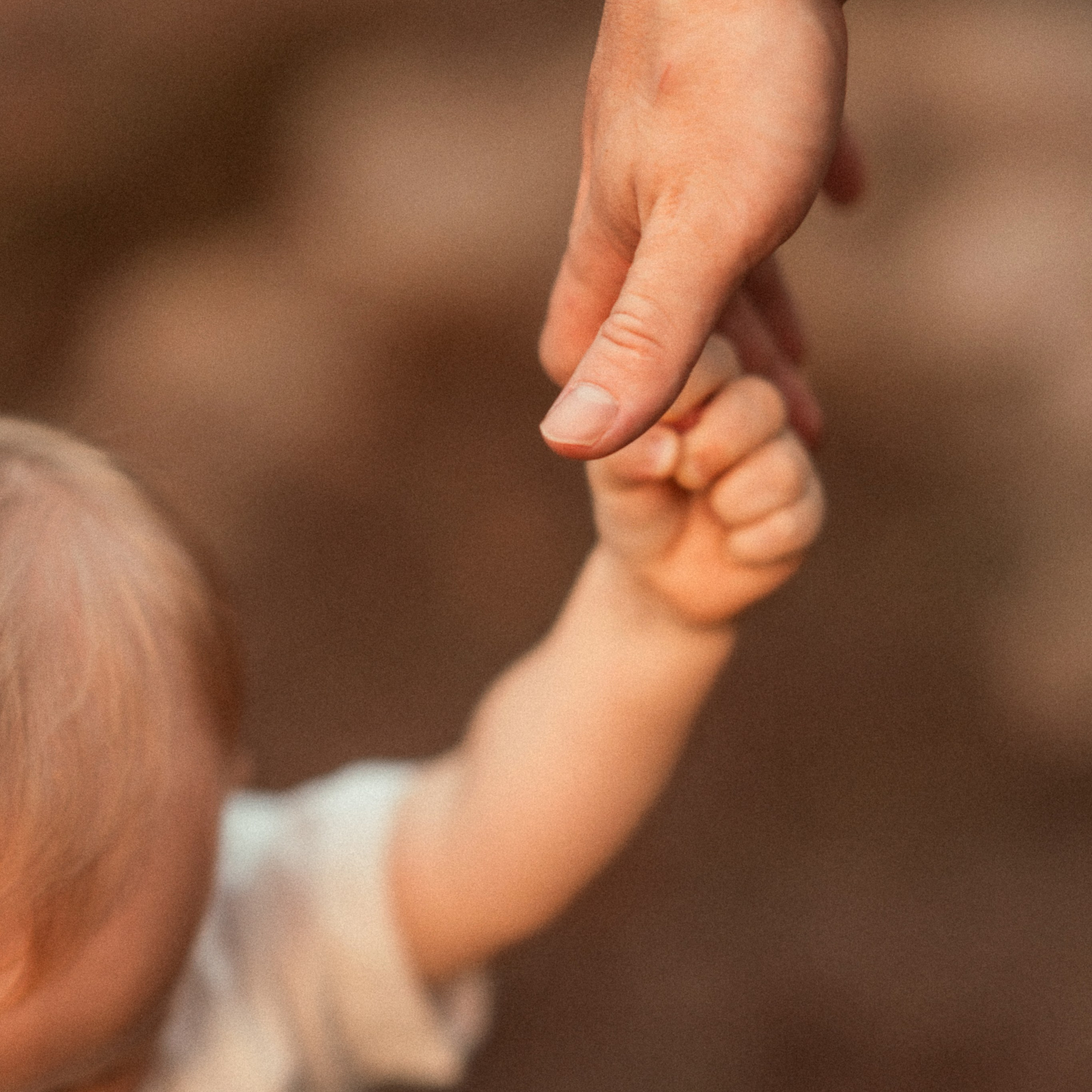 צילום לייף סטייל בפארק כהן, חיפה - טבע אידיאלי לצילום