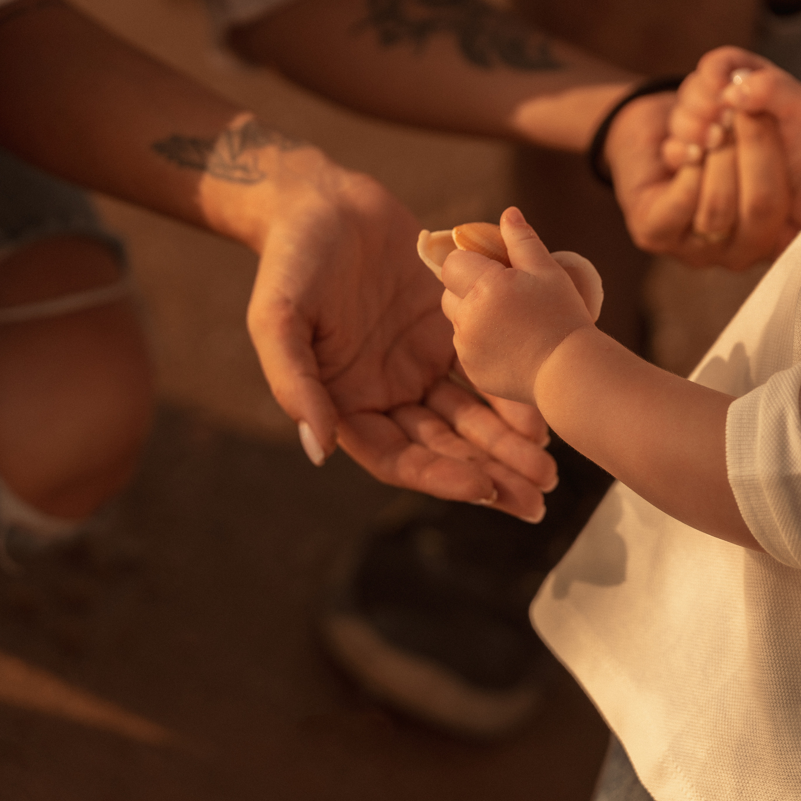 Family Photoshoot by the Sea: Photos Full of Sunlight and Light
