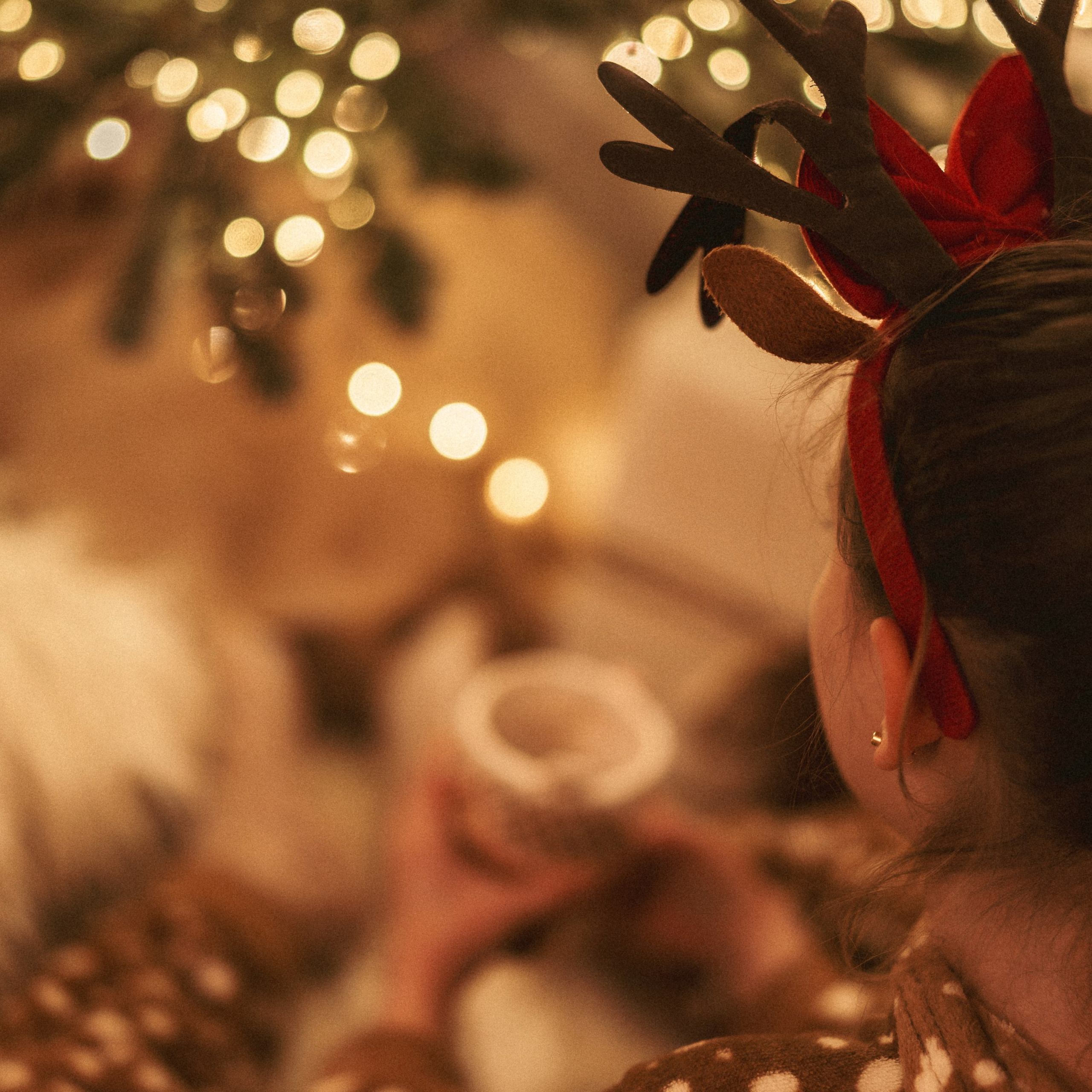 צילומי שנה חדשה בחיפה - צילומים קסומים לזיכרון