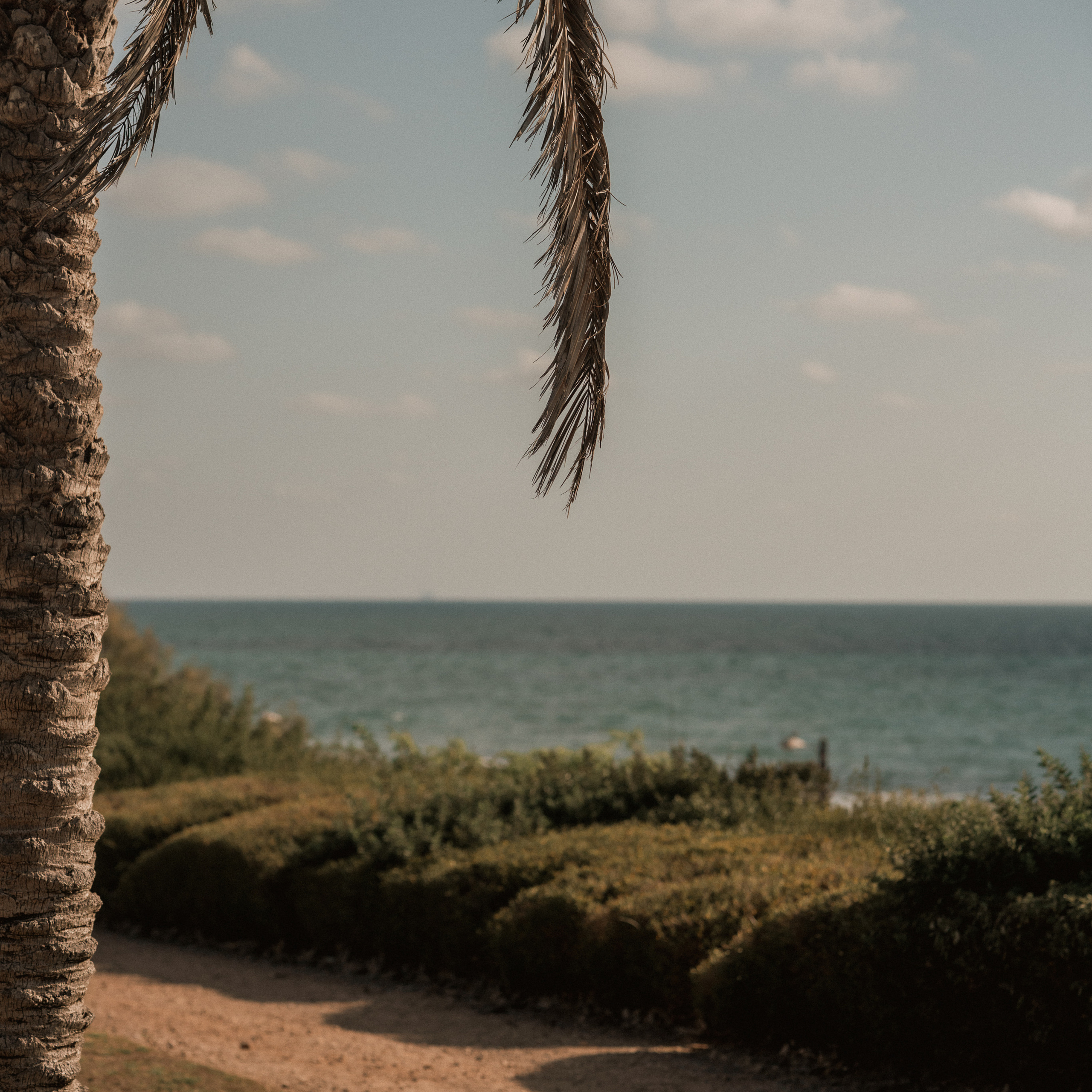תגובות לקוחות: חוויות אמיתיות מהסשנים שלנו