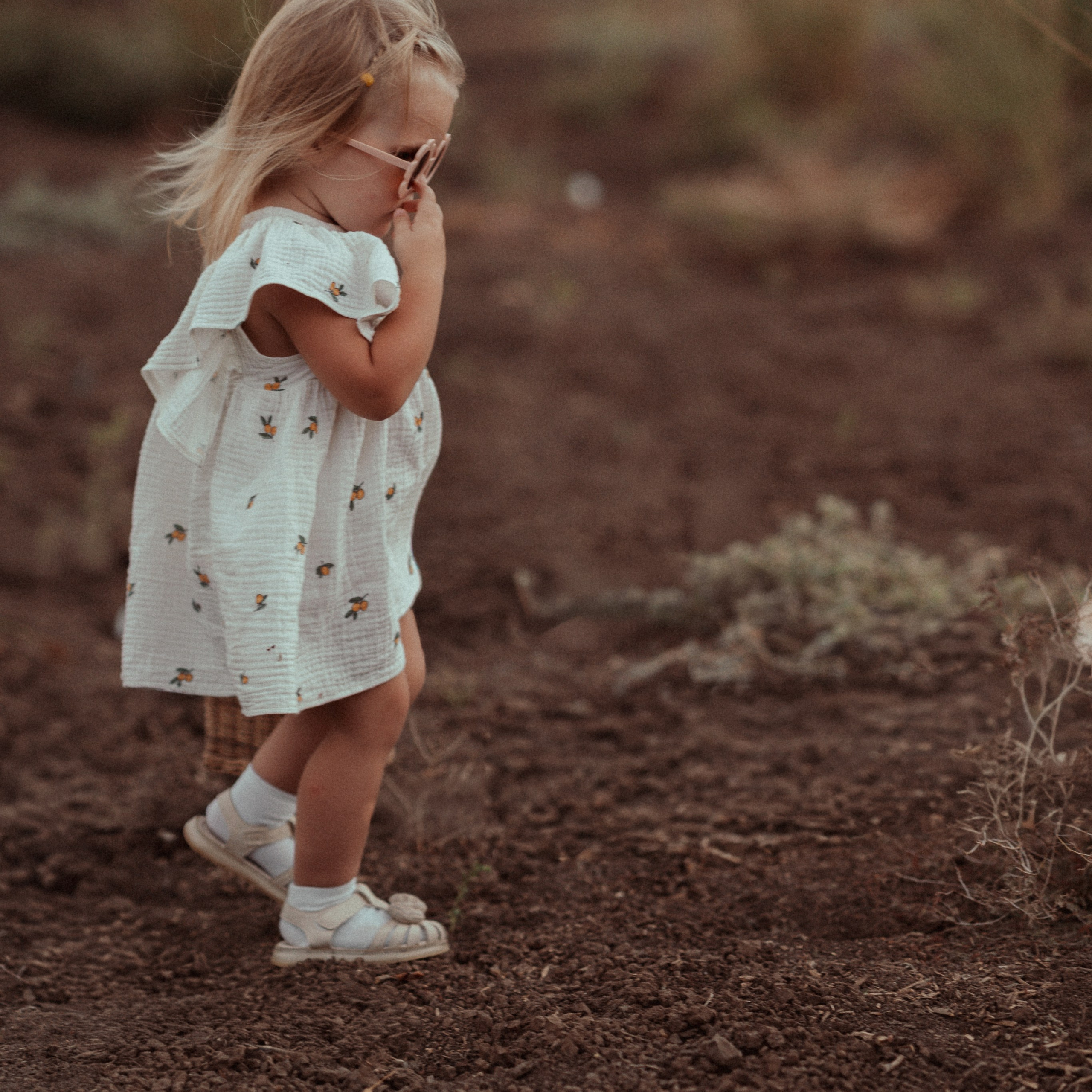 Cotton Fields: Autumn Photoshoots